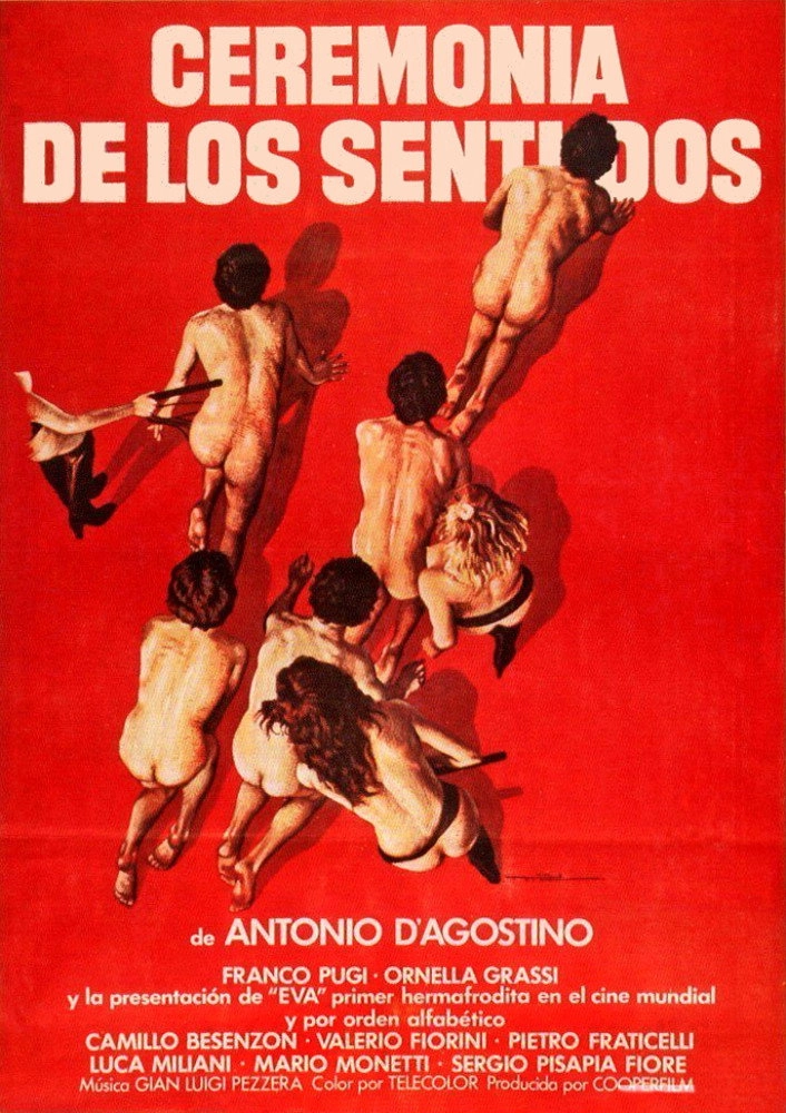The Ceremony of The Senses