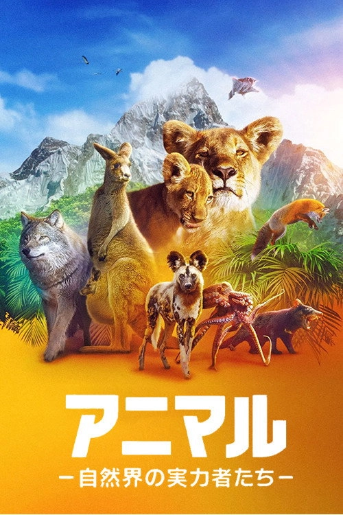 Animal