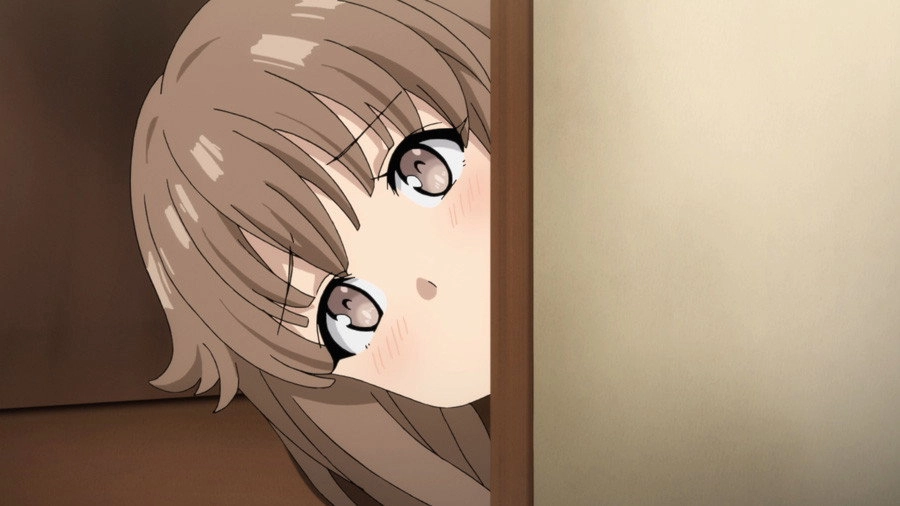 Rascal Does Not Dream of Bunny Girl Senpai