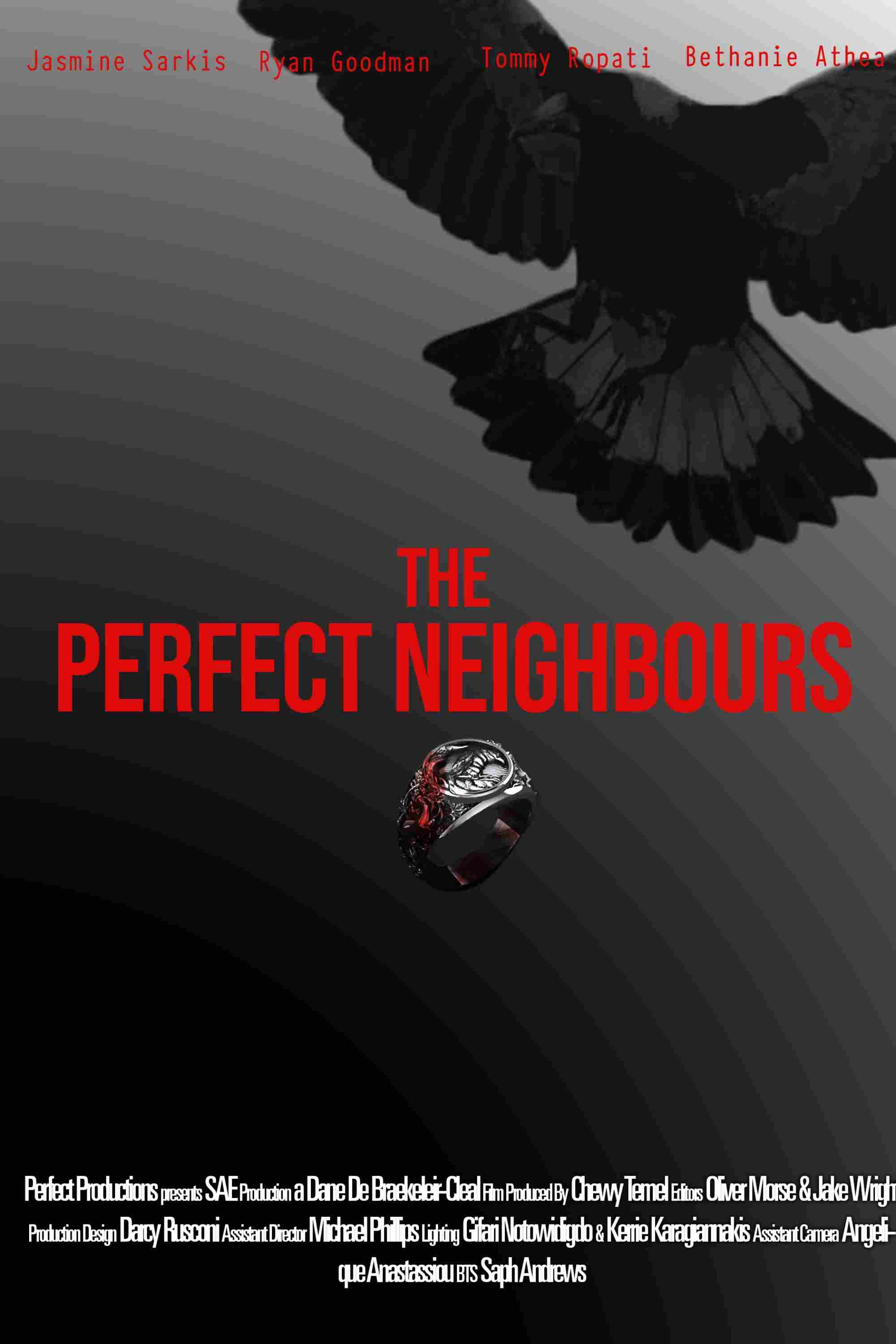 The Perfect Neighbours