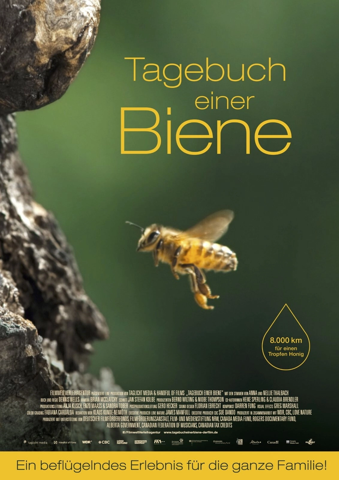 Diary of a Bee