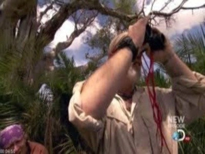 Dual Survival