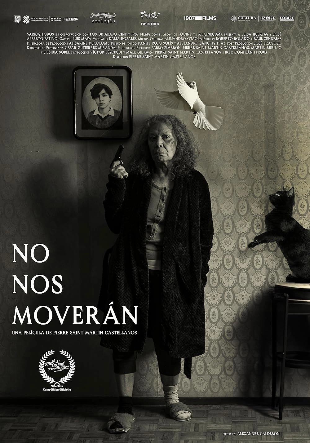 We Shall Not Be Moved