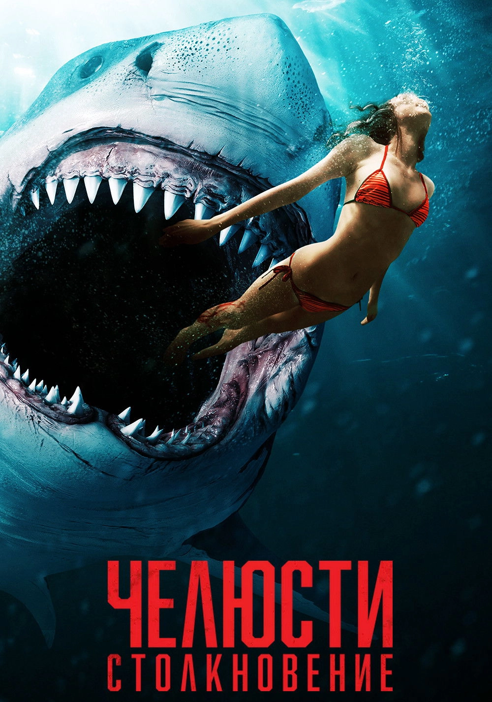 Shark Bait