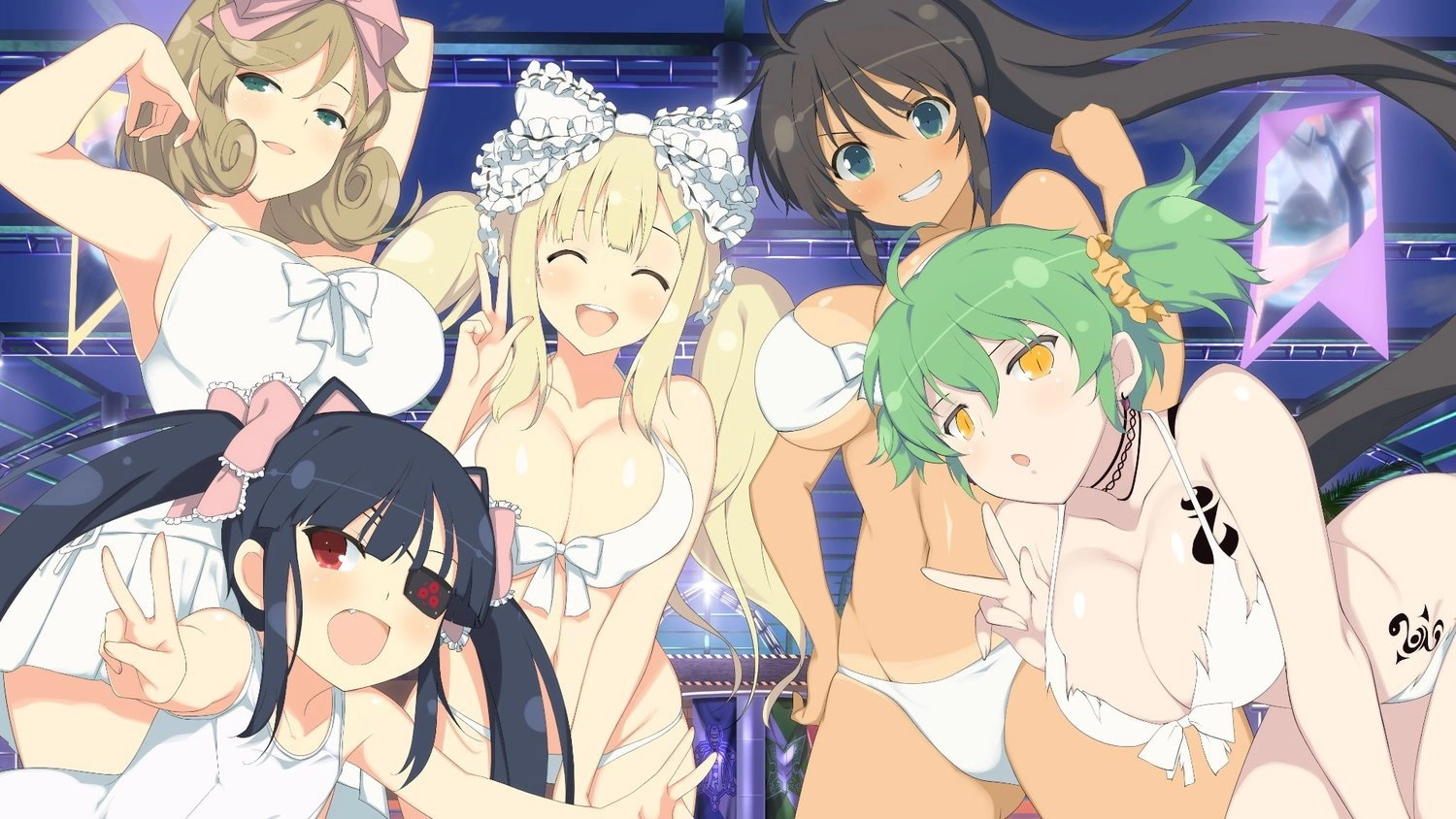 Senran Kagura: Ninja Flash