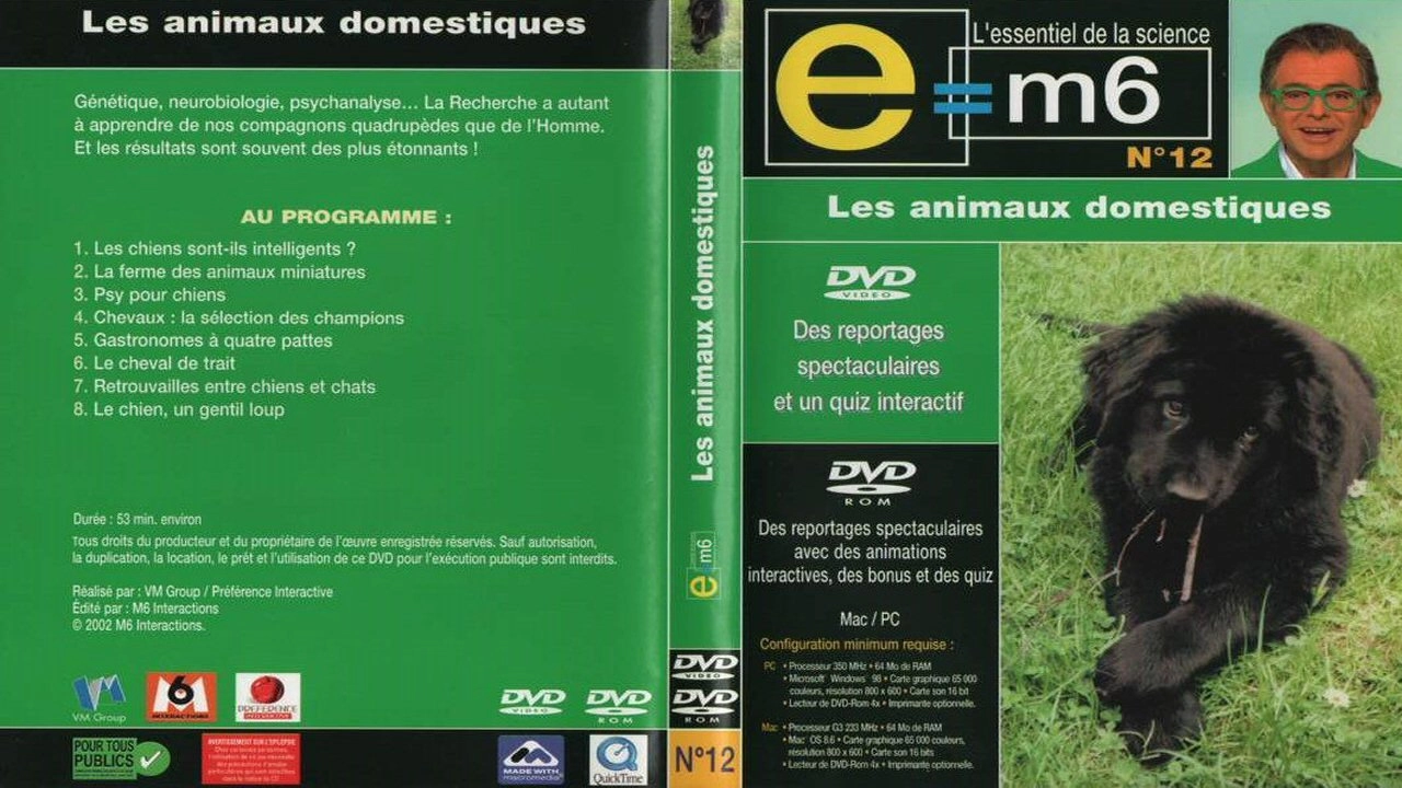 E=M6
