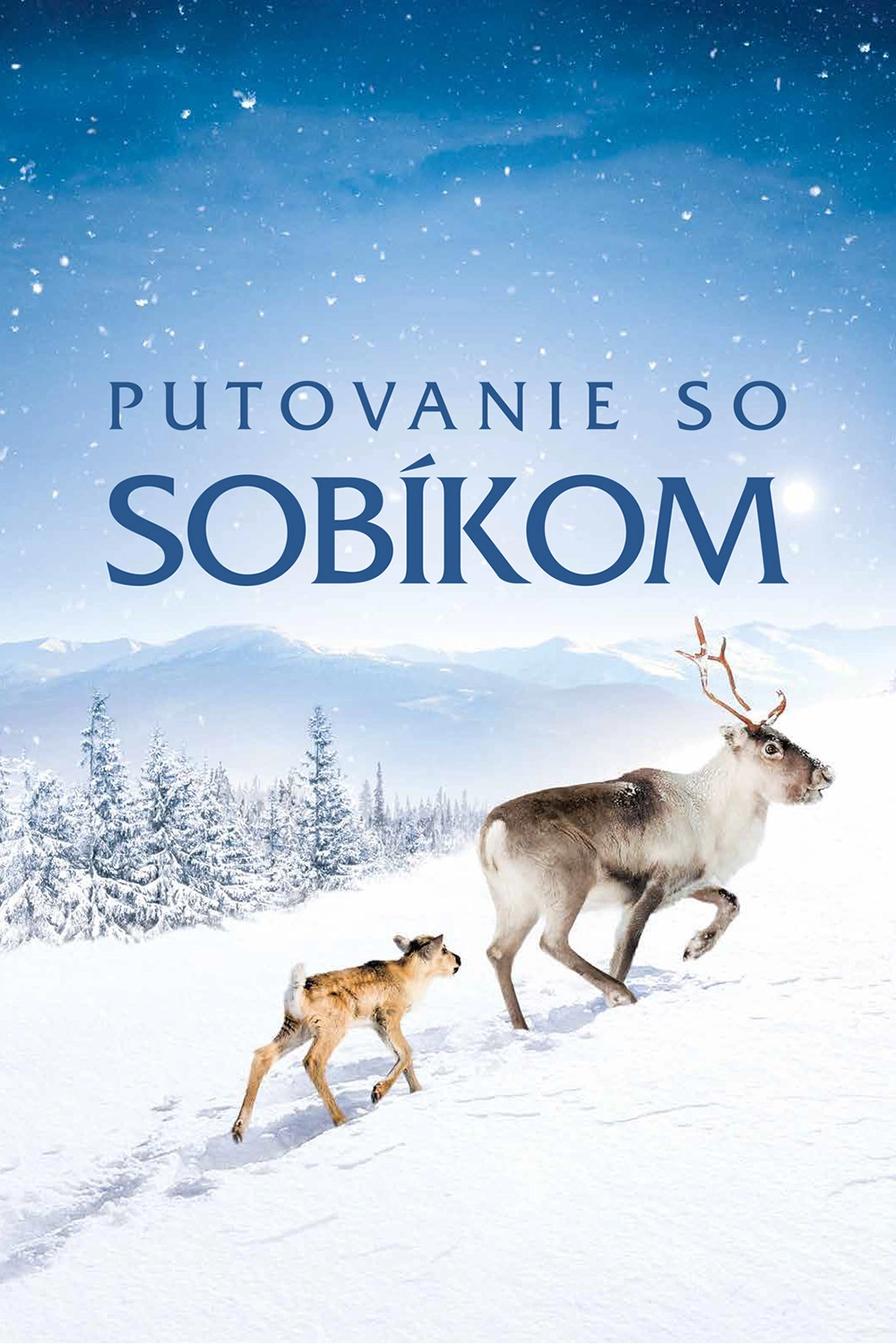 A Reindeer's Journey