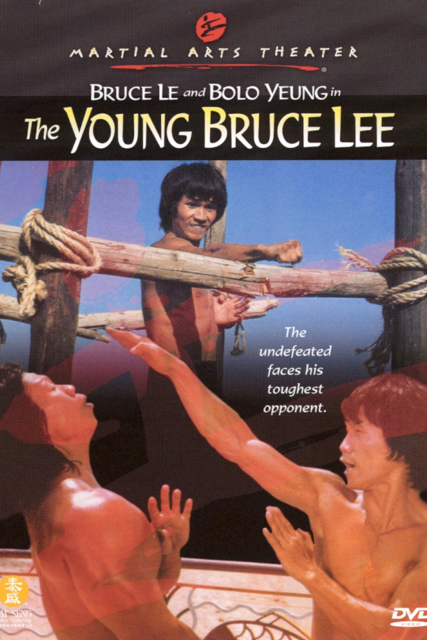 The Legend Of Bruce Lee