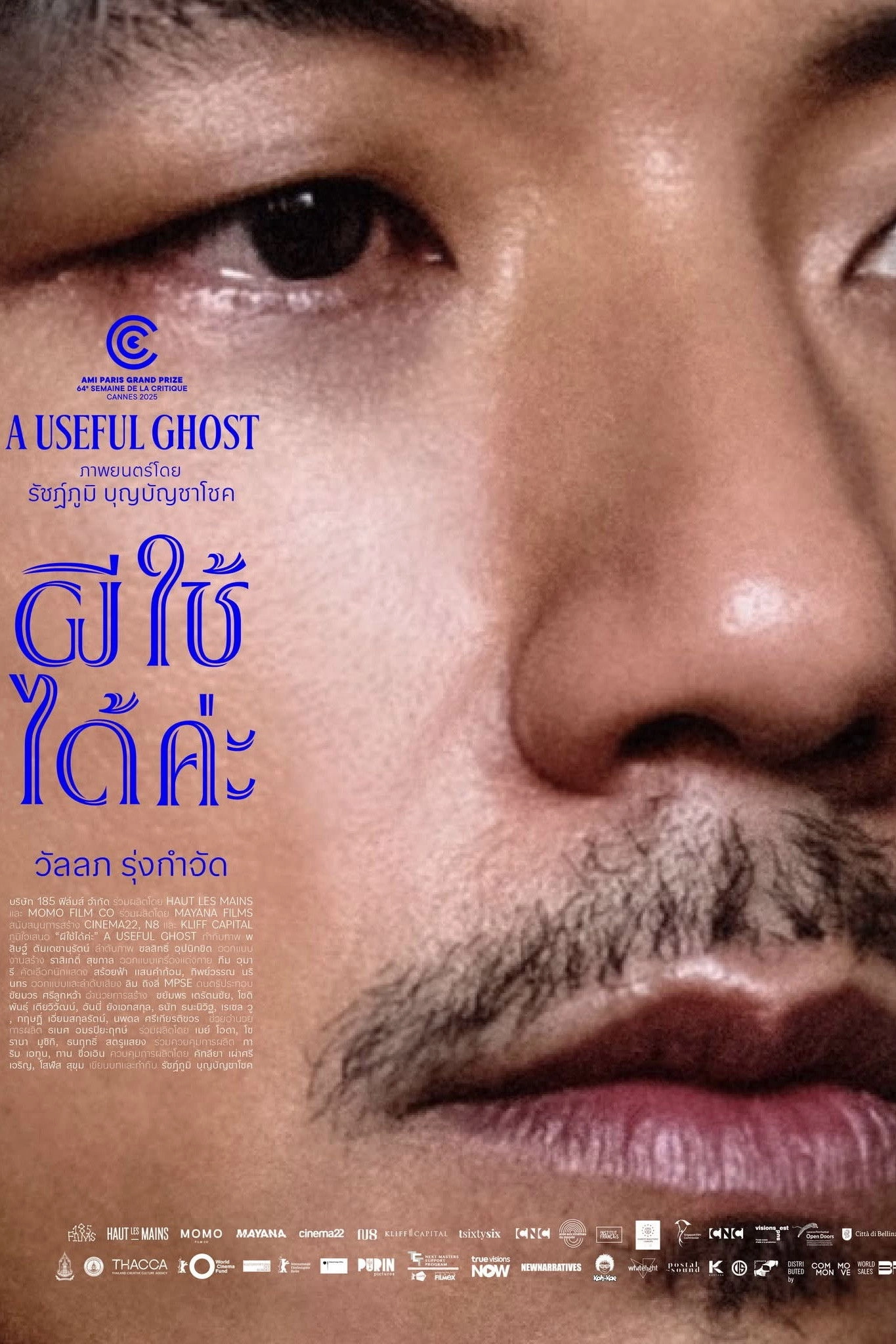 A Useful Ghost