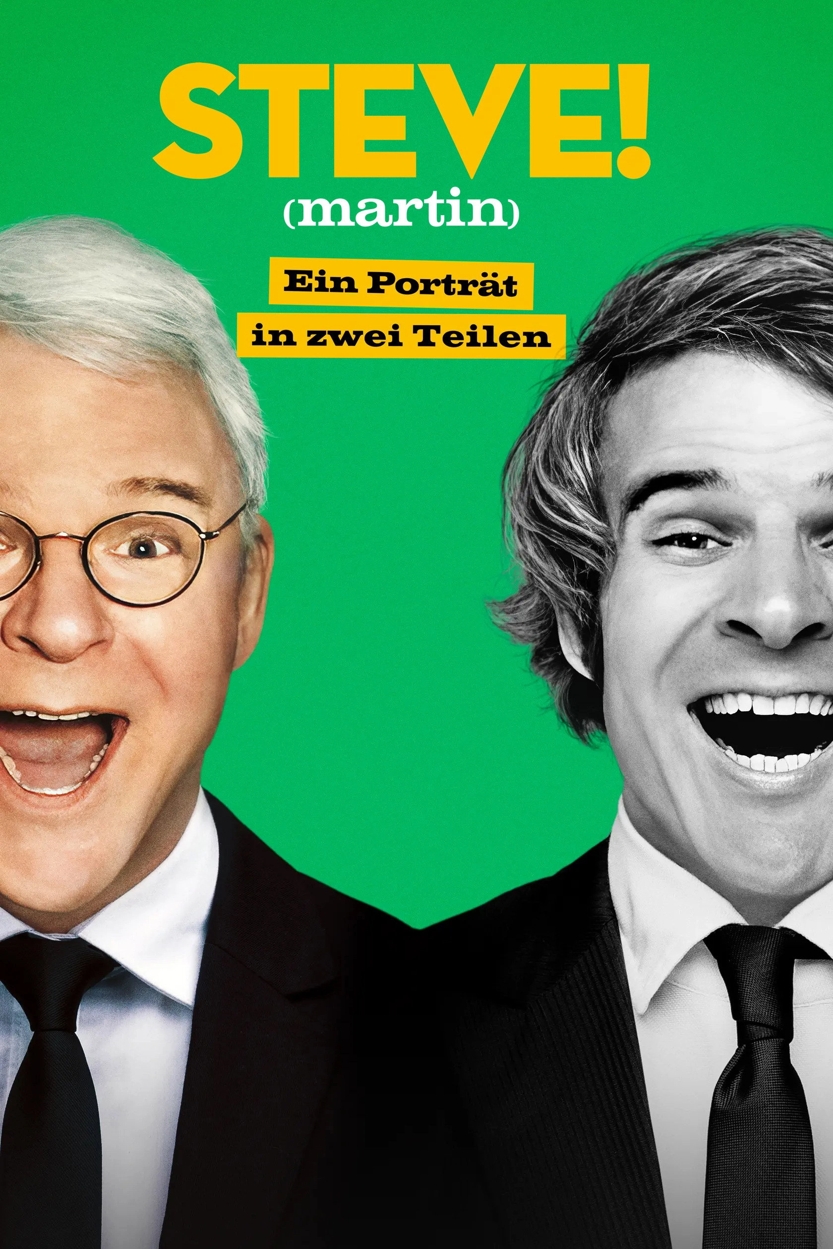 STEVE! (martin) a documentary in 2 pieces
