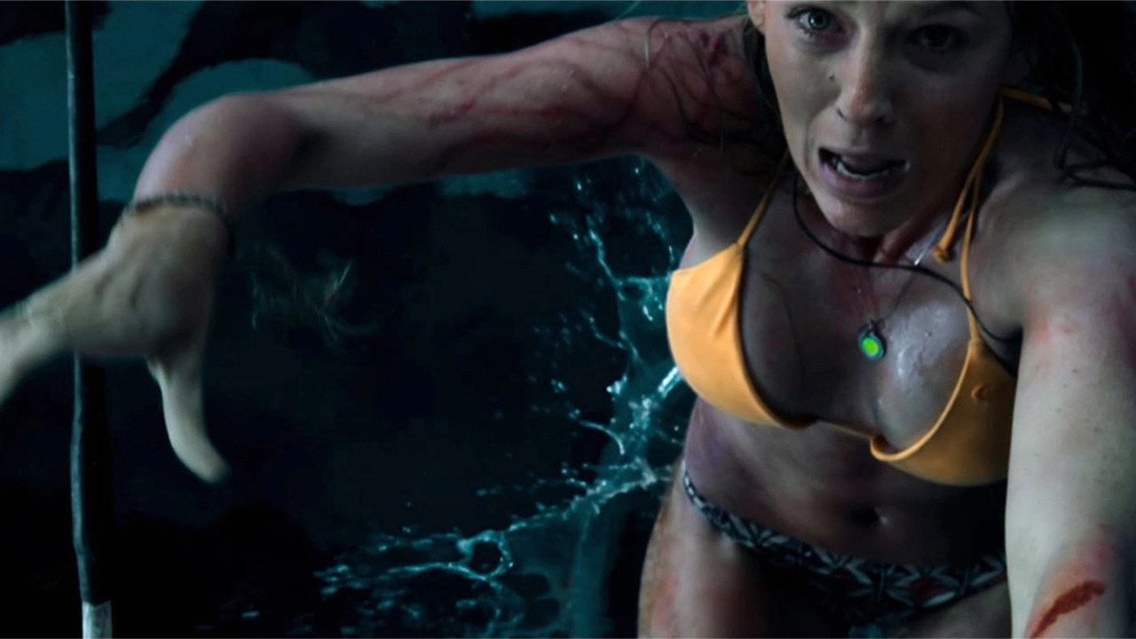 The Shallows