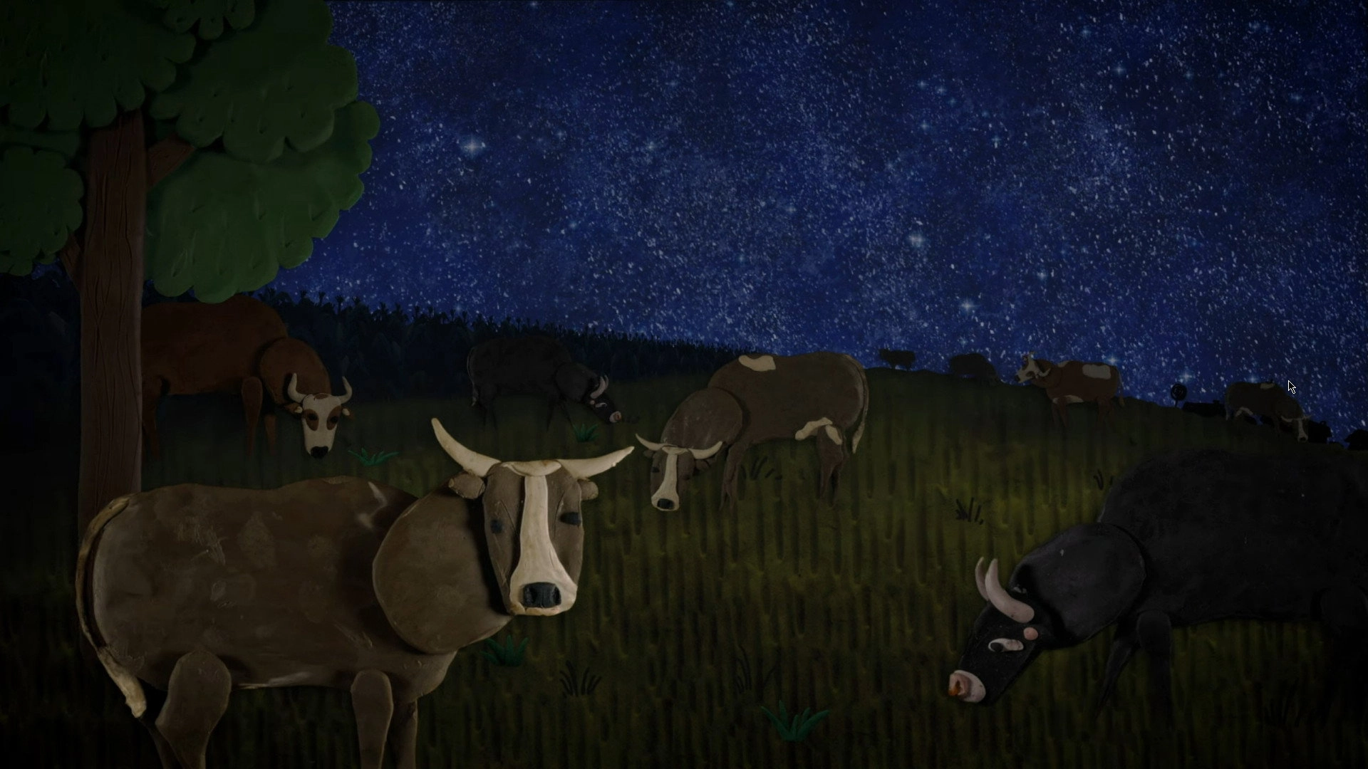 Gazing at the Starry Sky