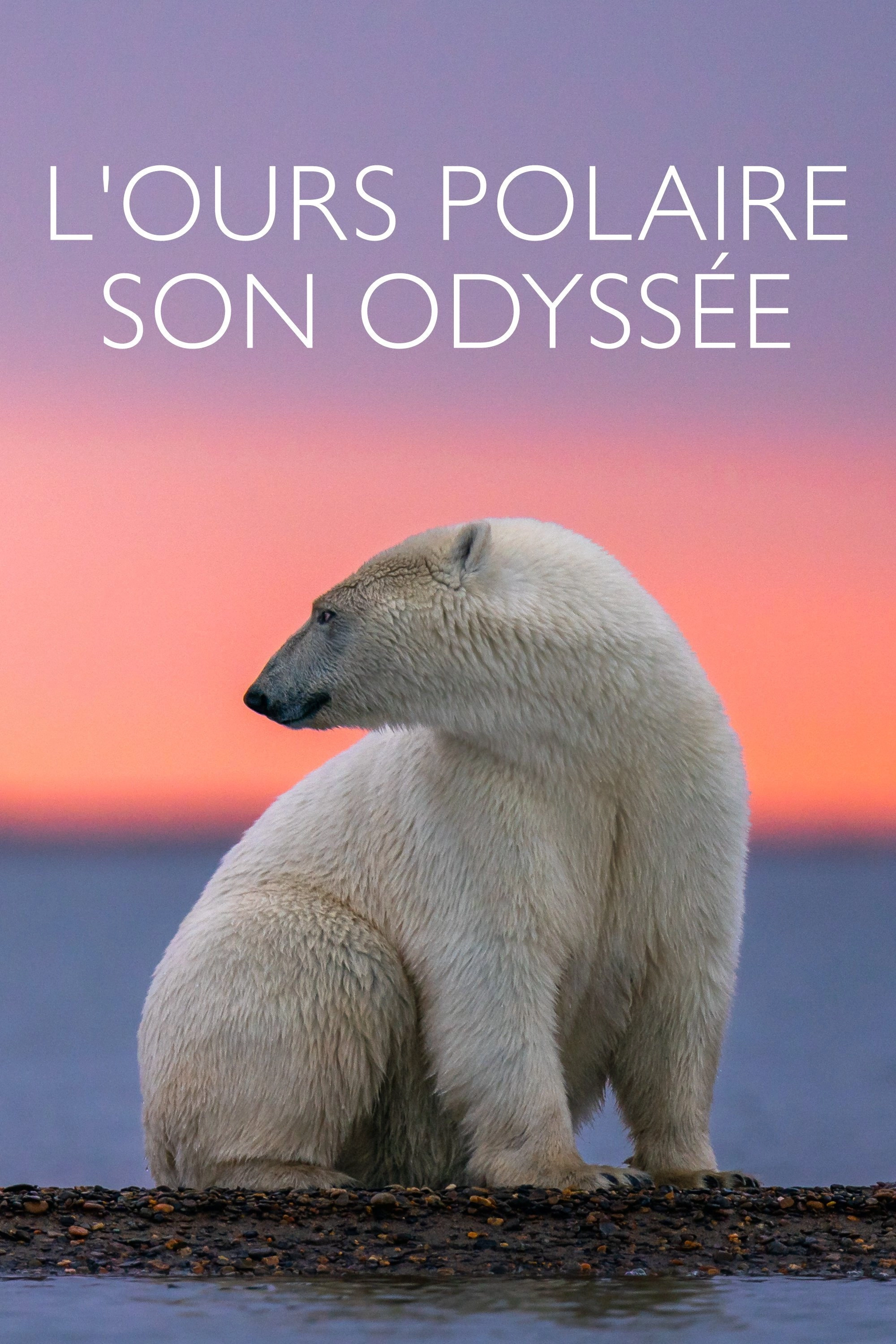 Kingdom of the Polar Bears