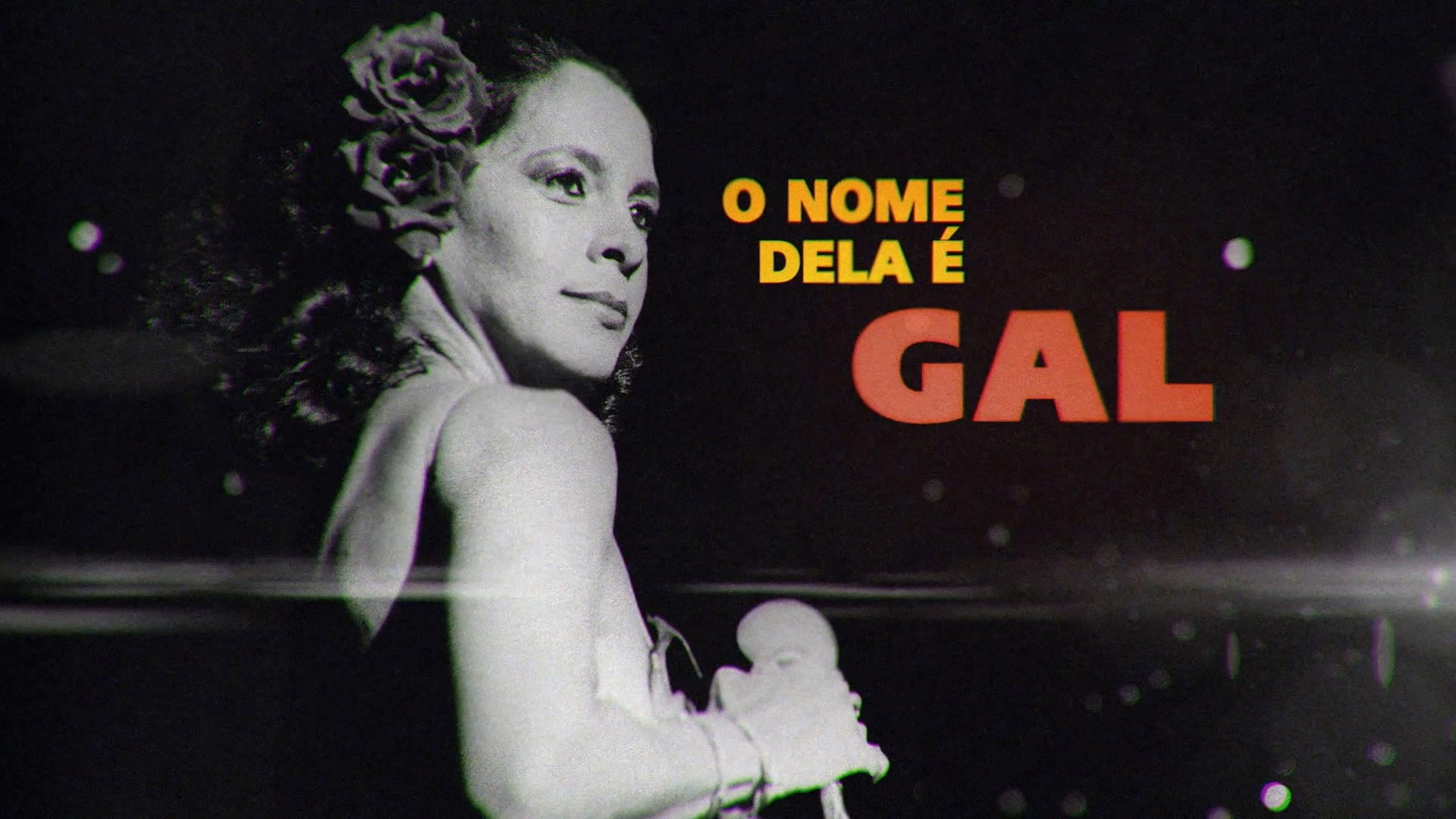 O Nome Dela é Gal