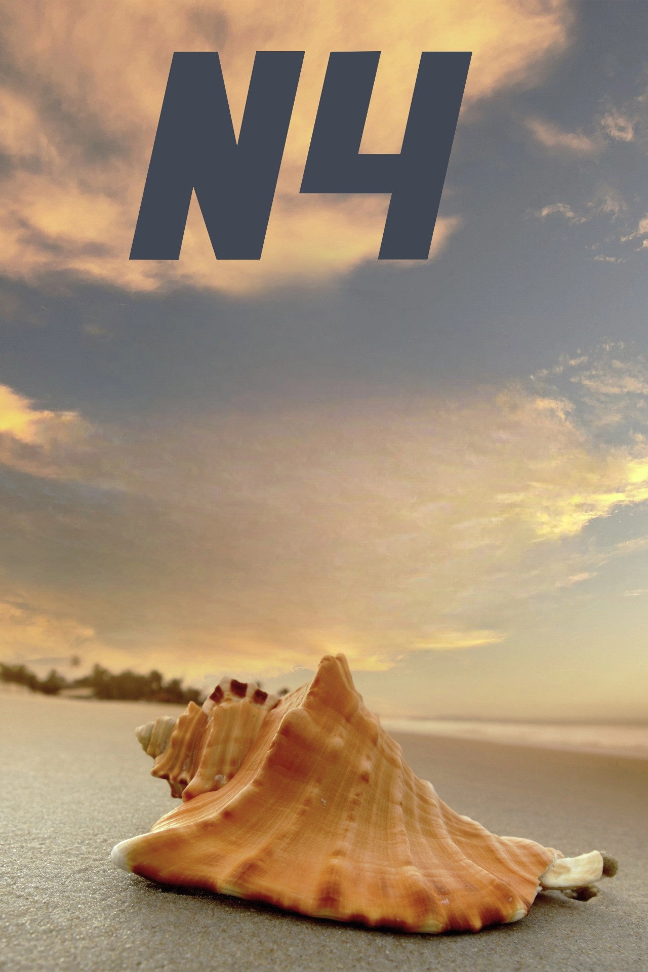 N4