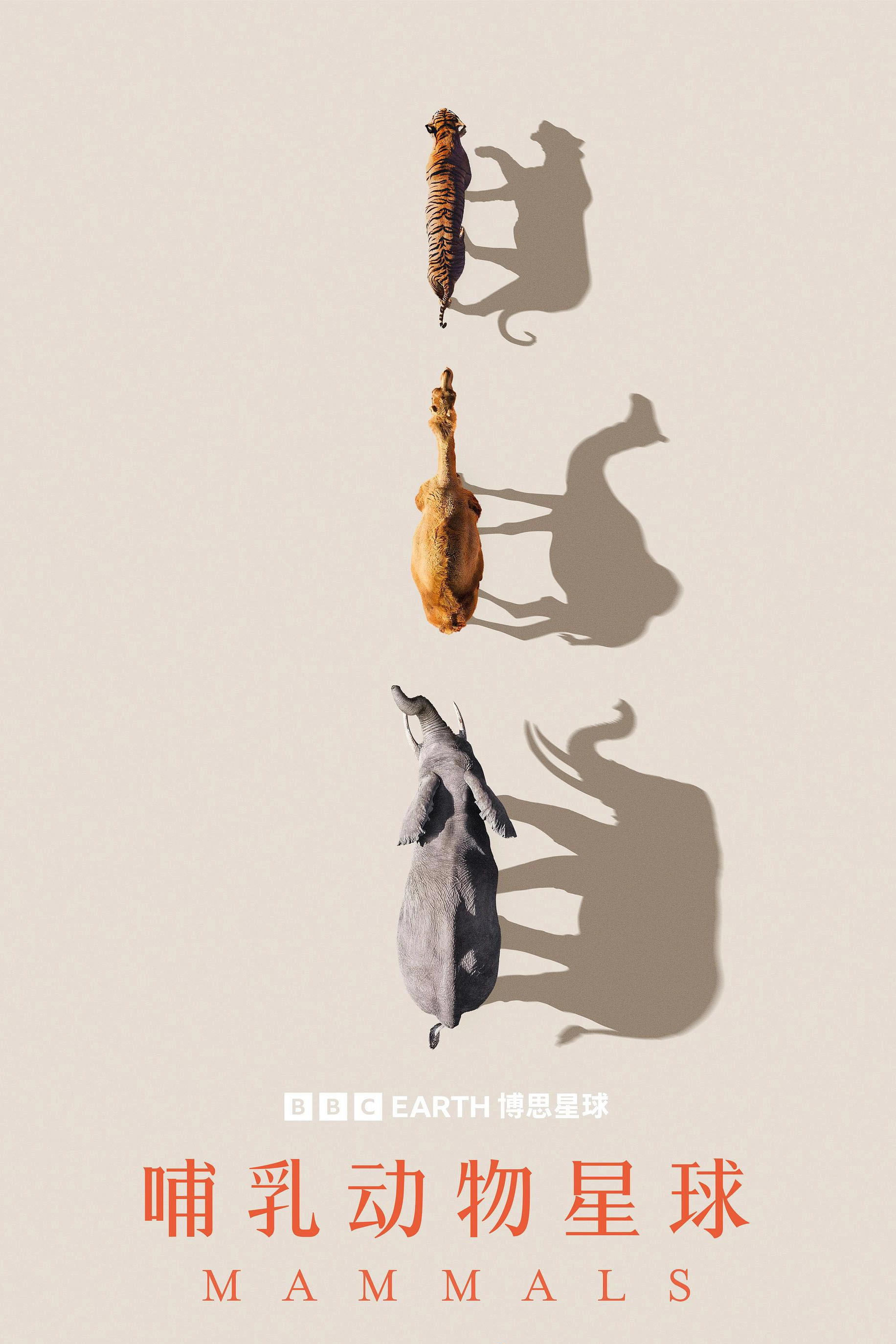 Mammals