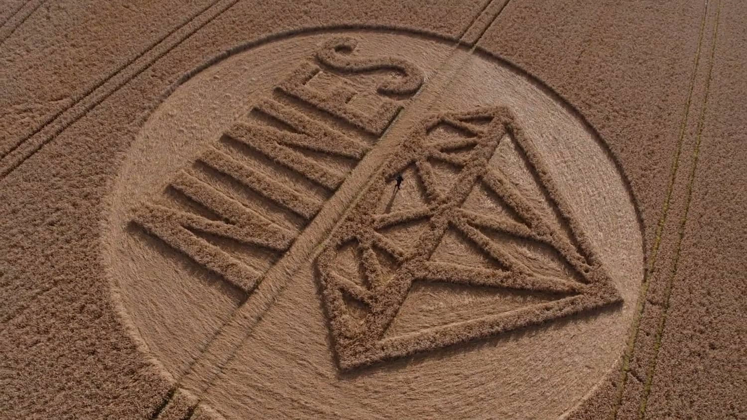 Crop Circle