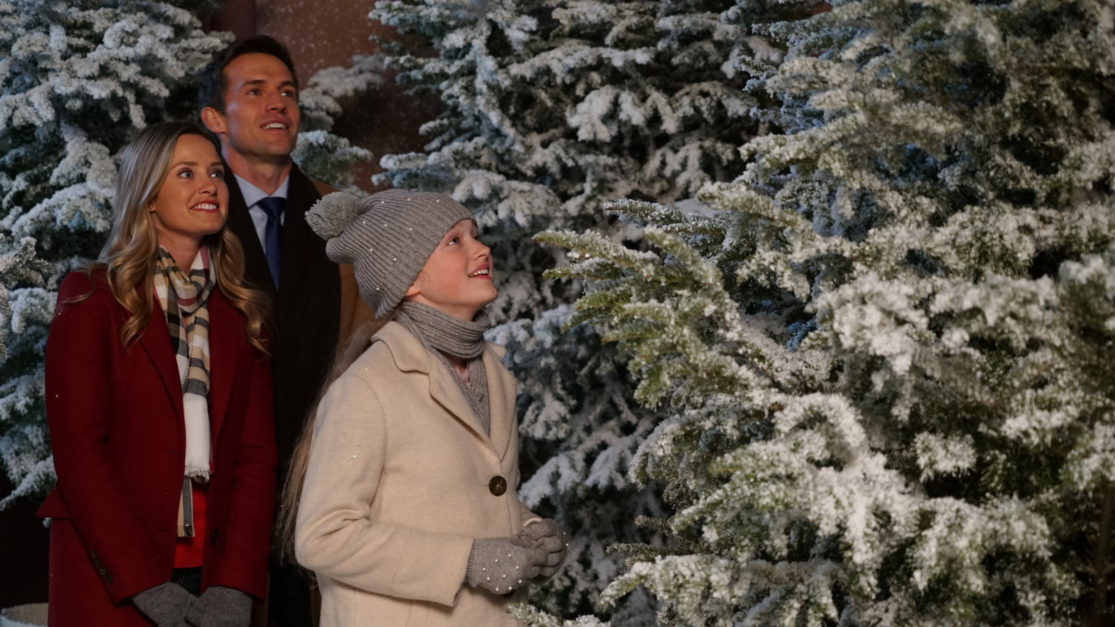 Christmas at the Palace