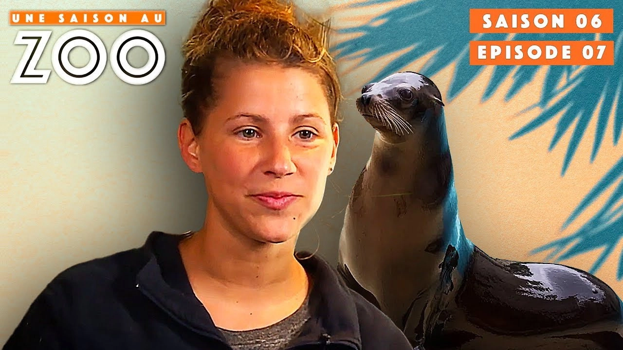 Une saison au zoo