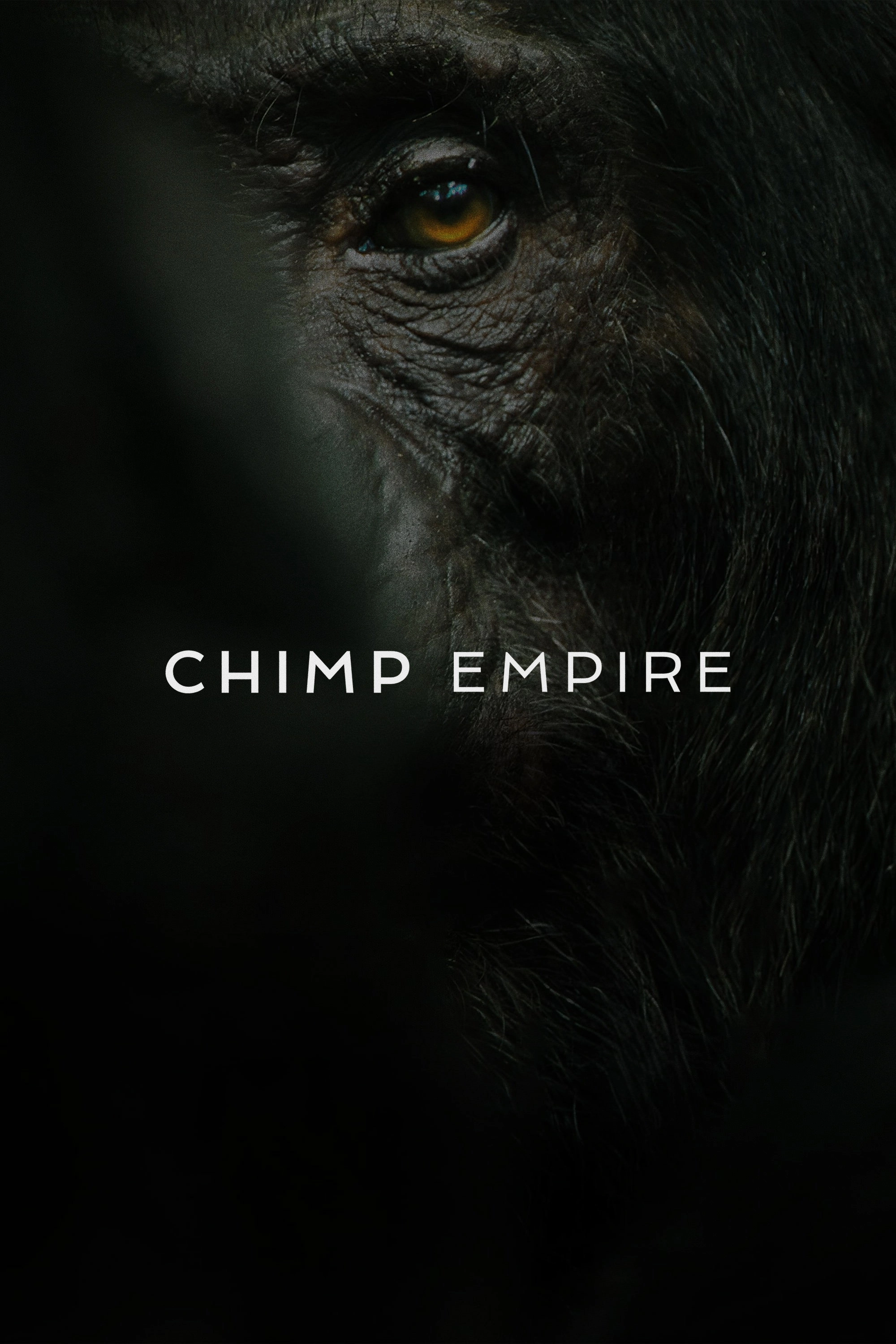 Chimp Empire