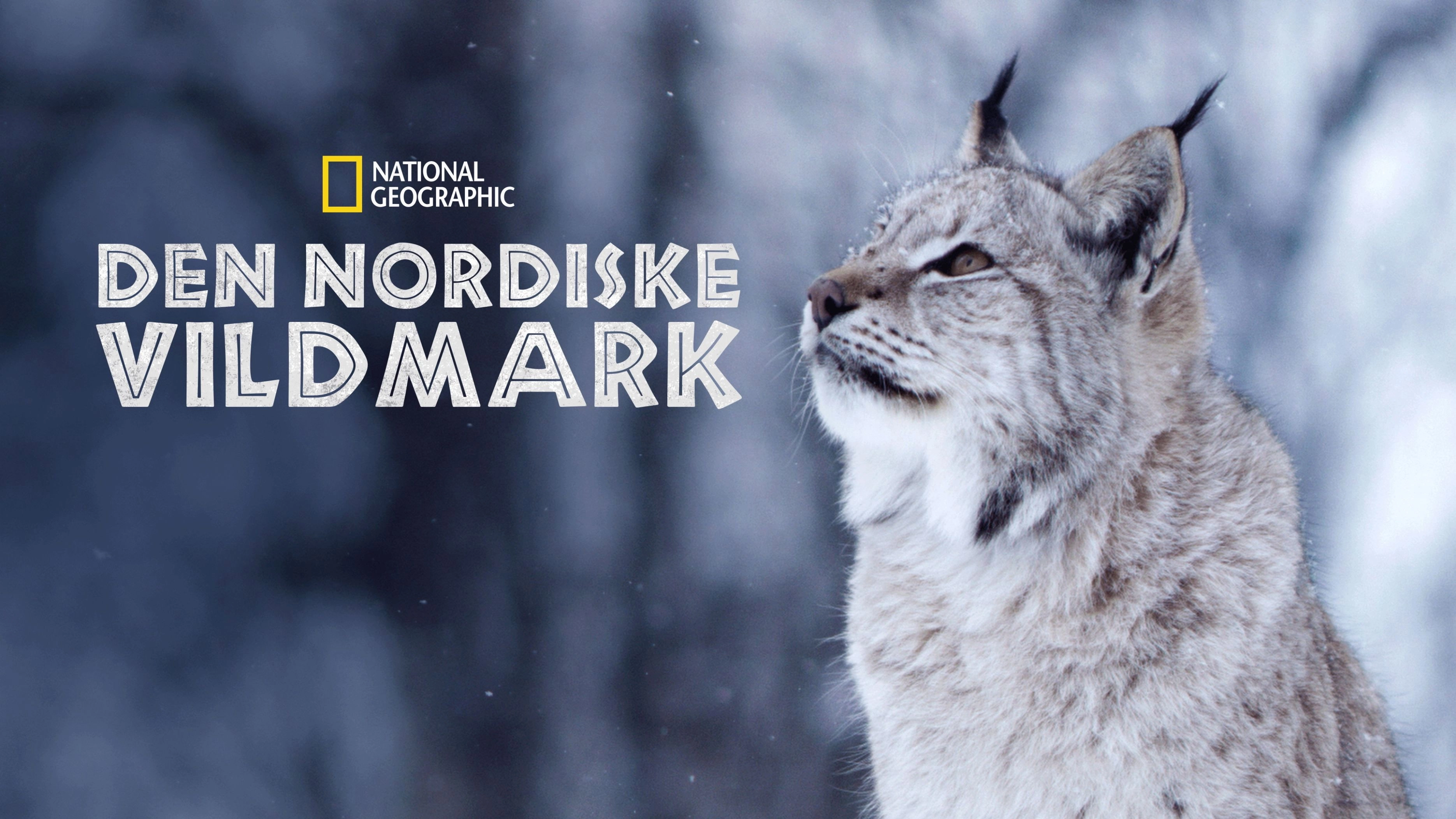 Wild Nordic