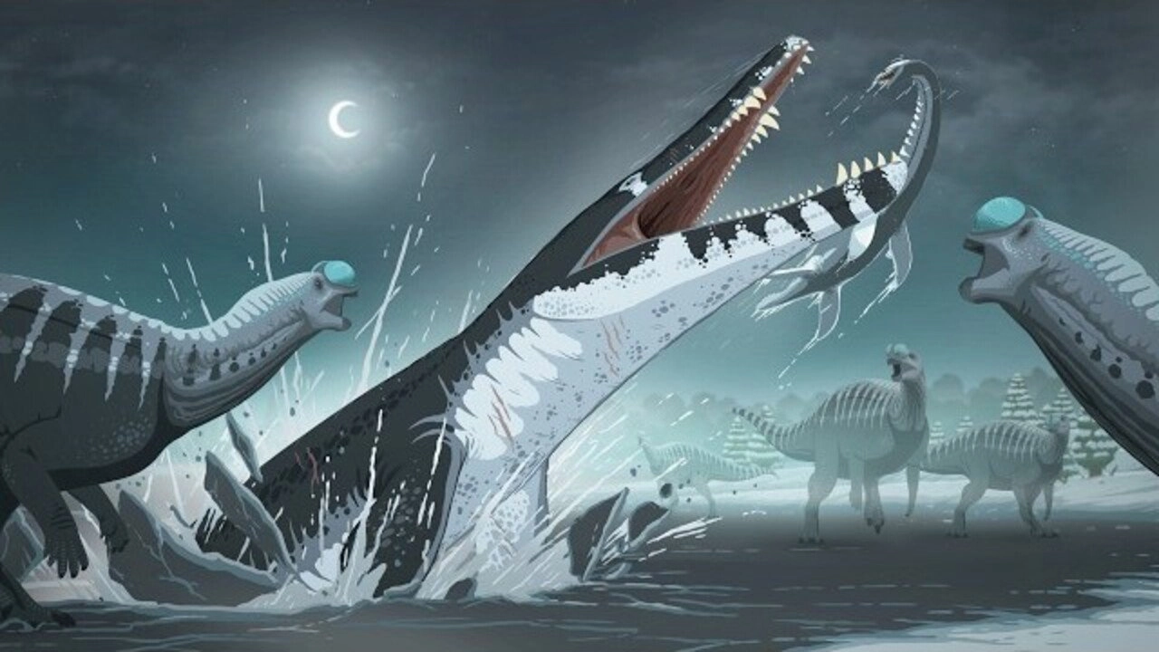 Monsters Down Under