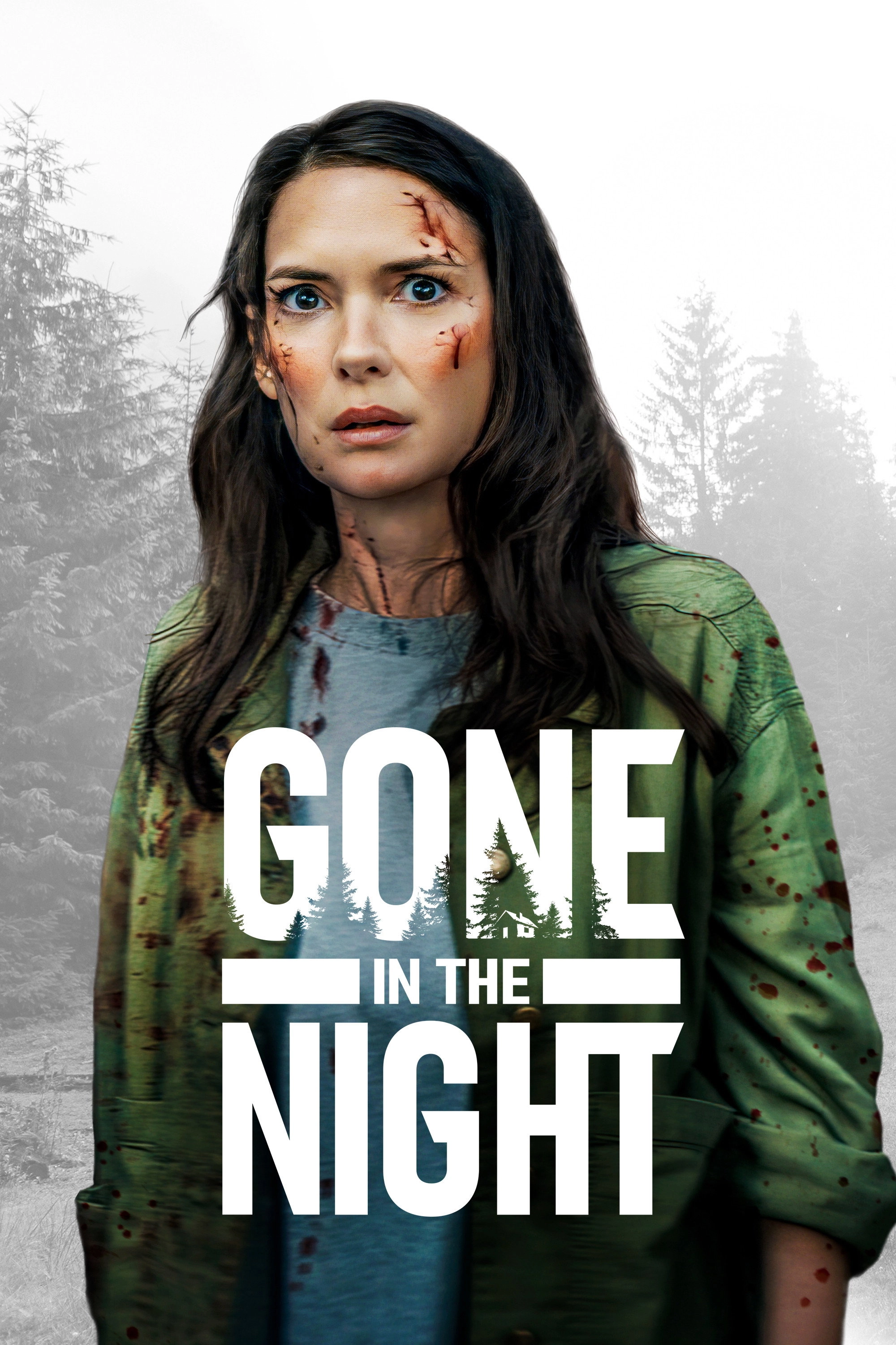 Gone in the Night