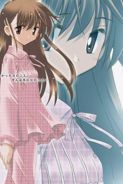Narcissu