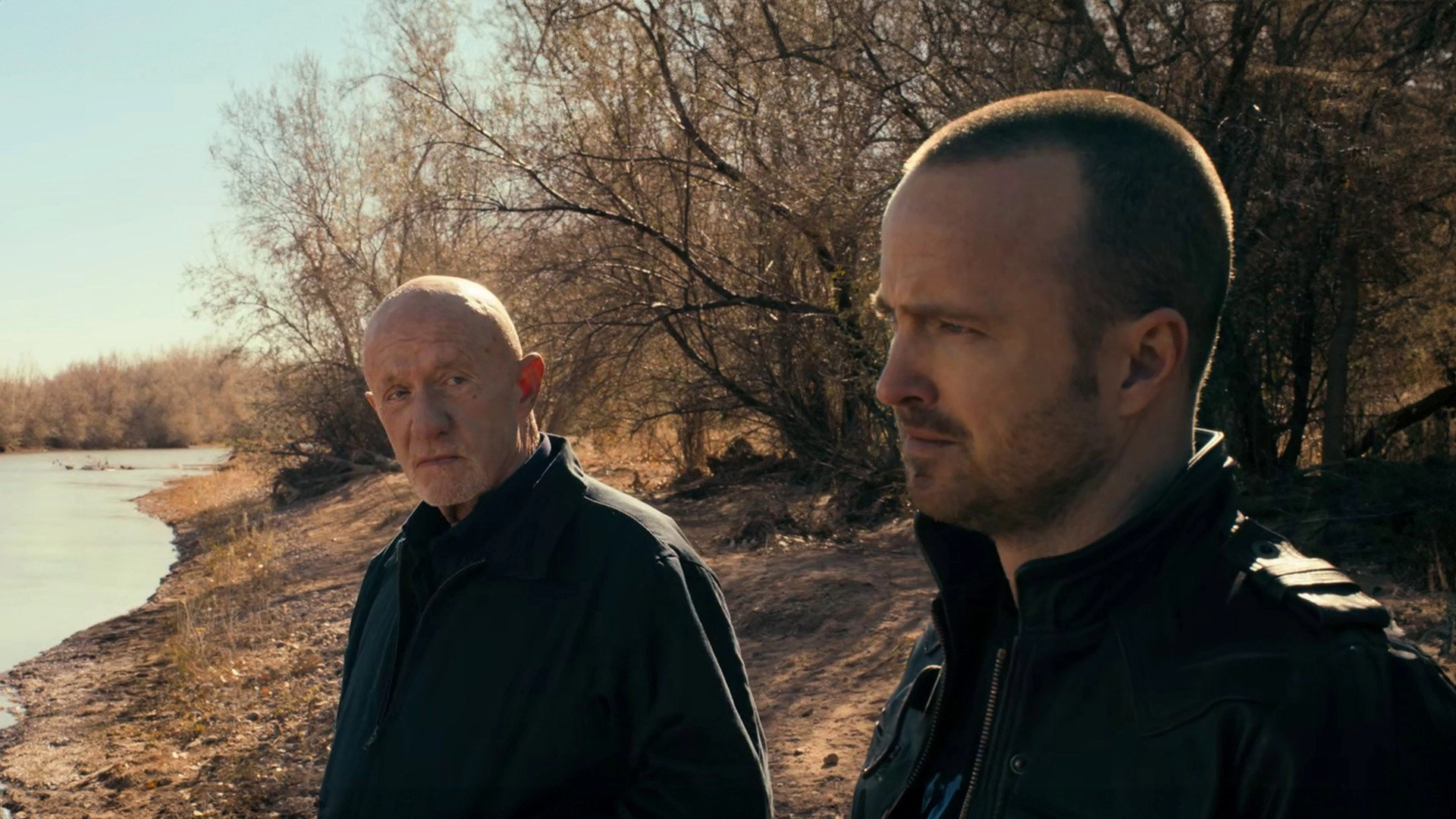 El Camino: A Breaking Bad Movie