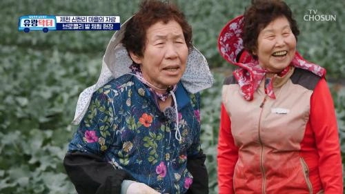 방방곡곡 낭만로드 유랑닥터