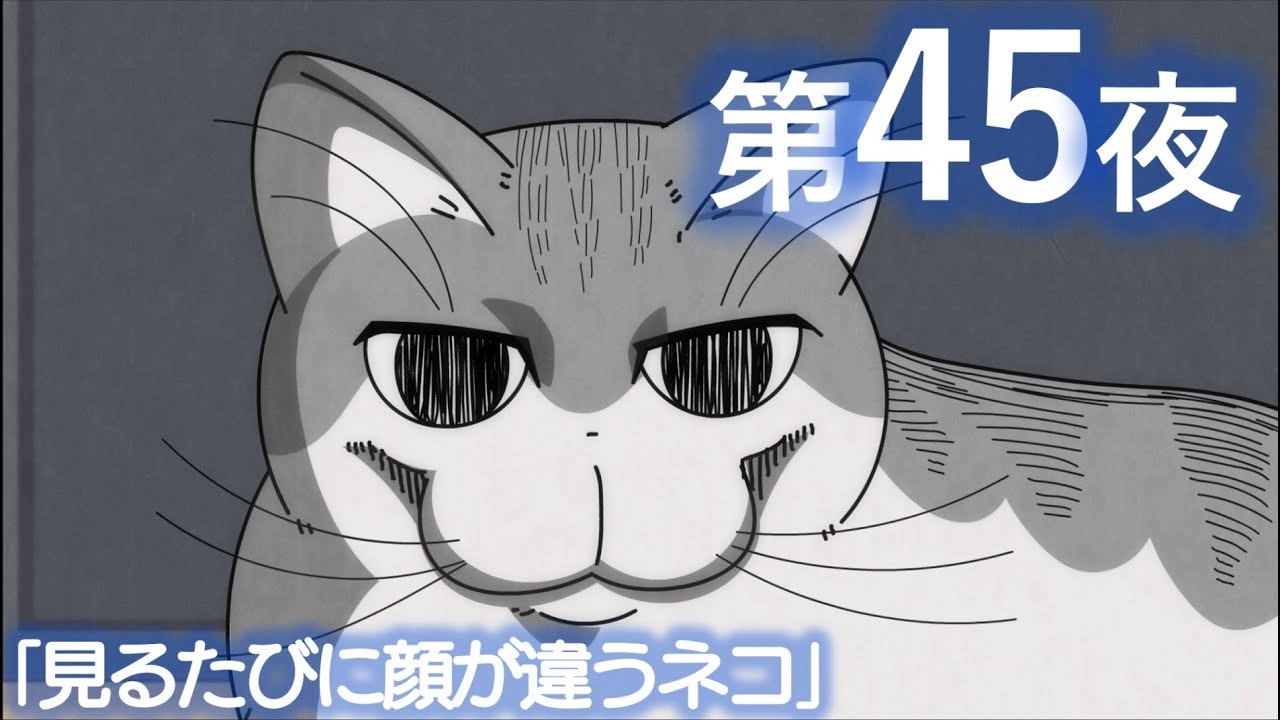 Nights with a Cat