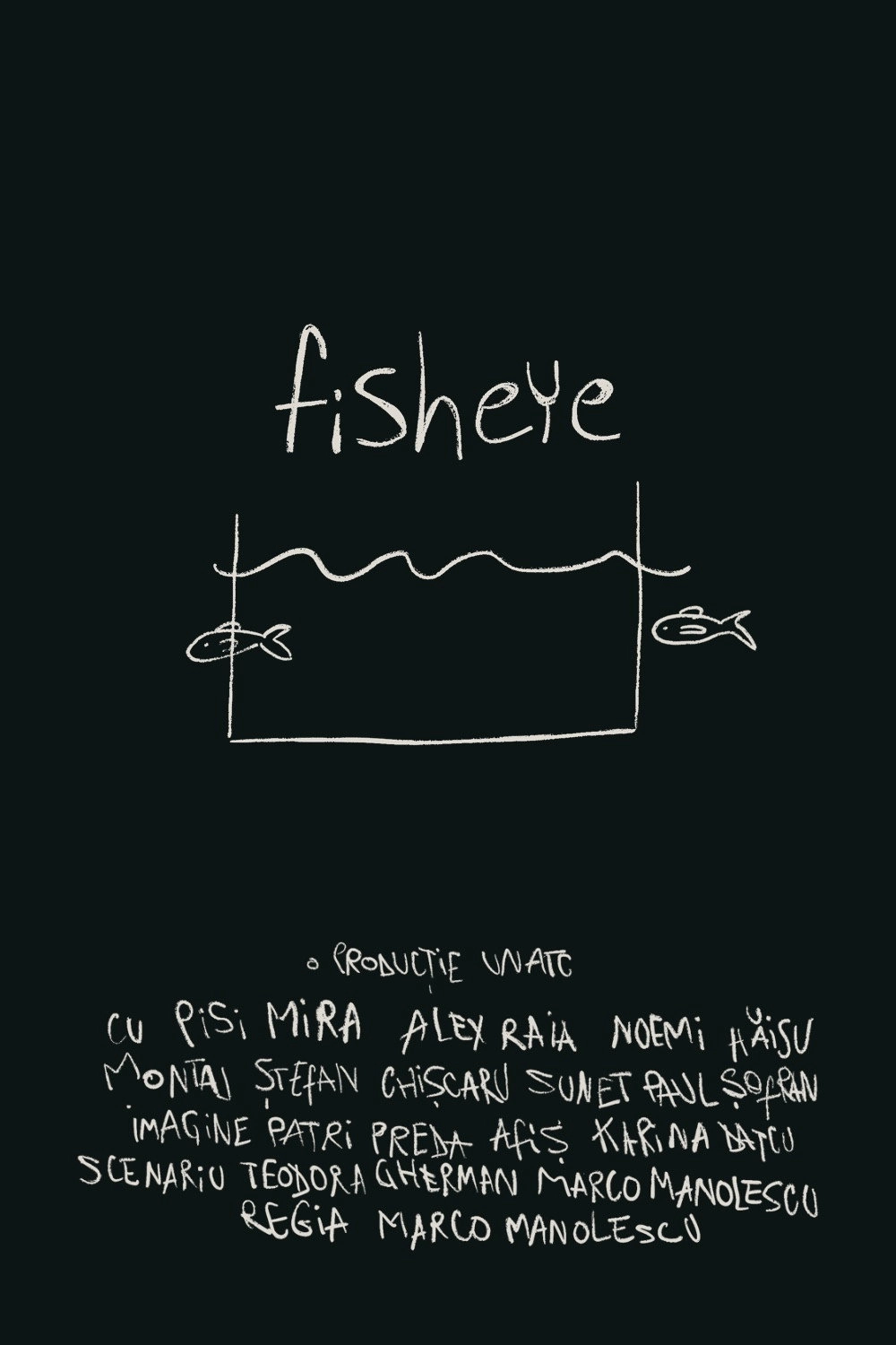 fisheye