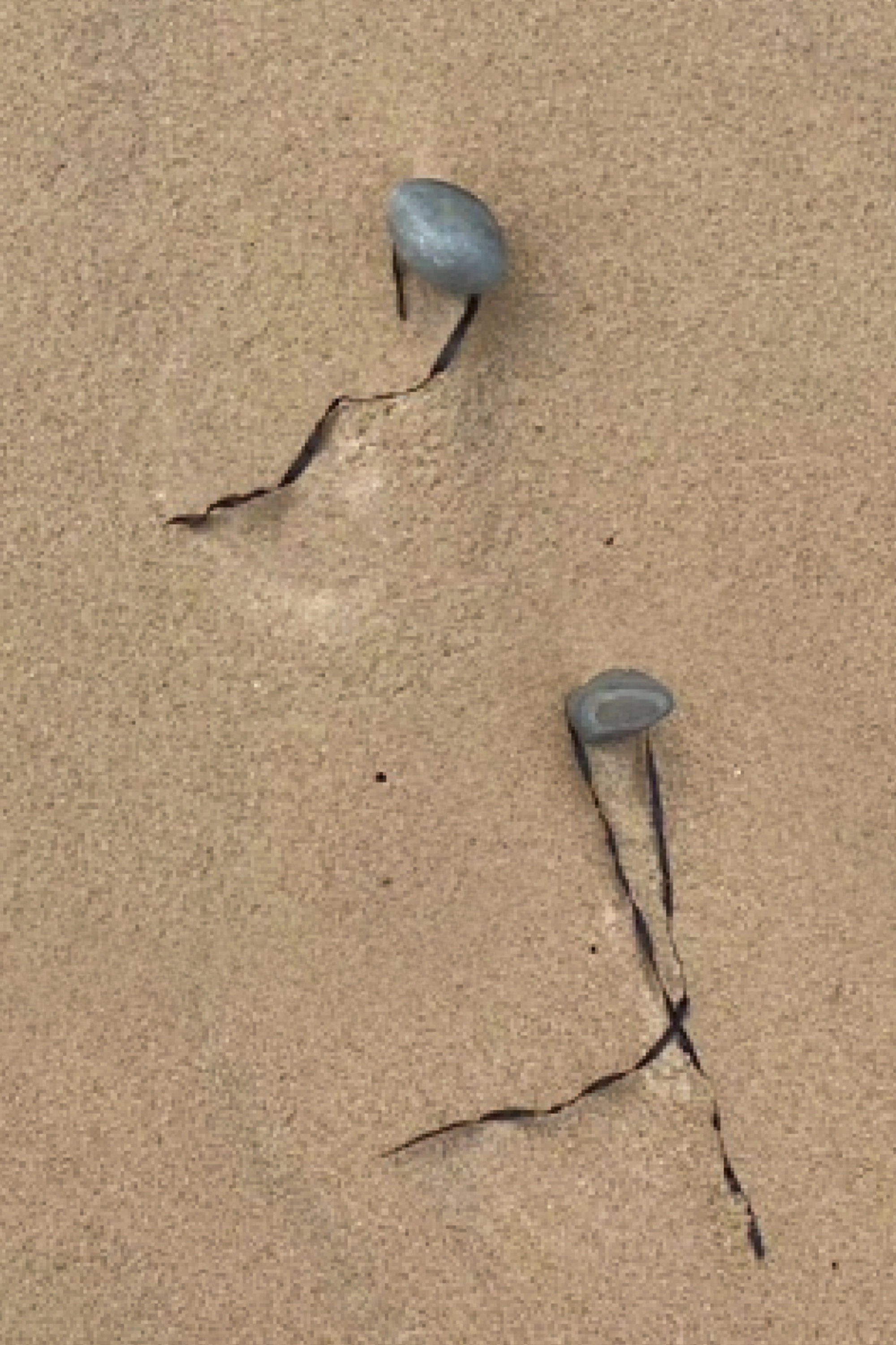 Double act