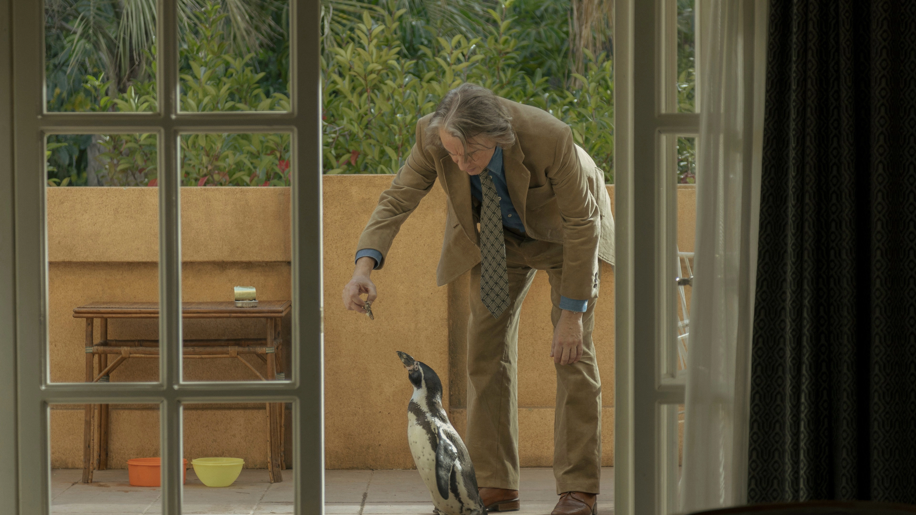 The Penguin Lessons