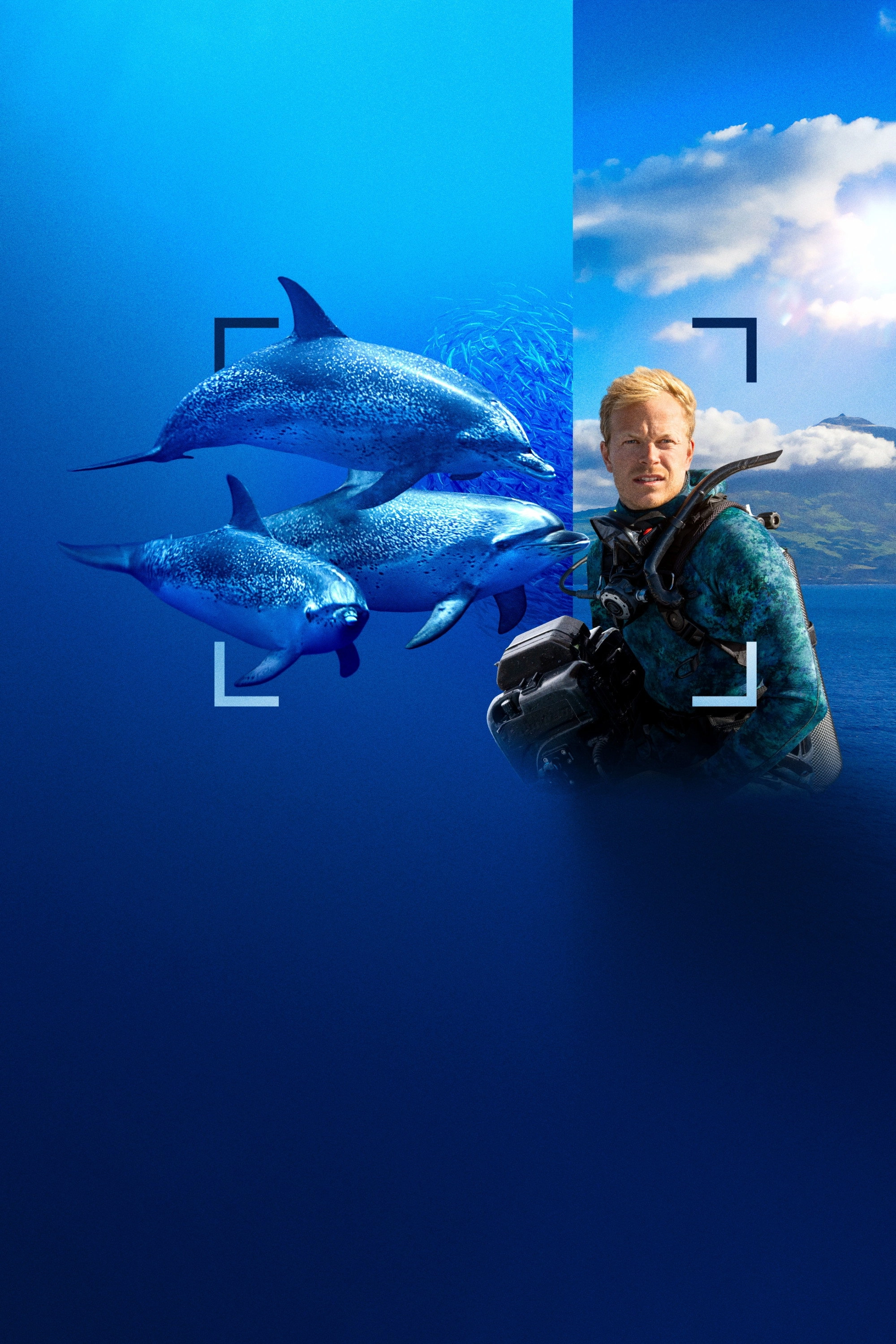 Dolphins Up Close with Bertie Gregory