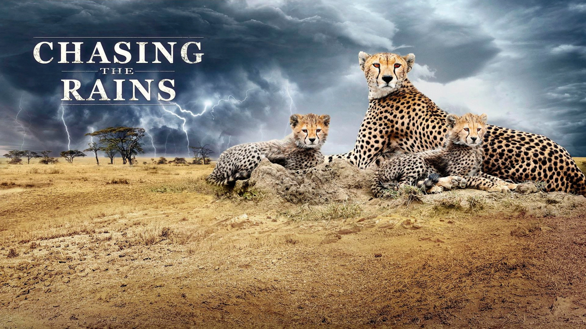 Chasing the Rains