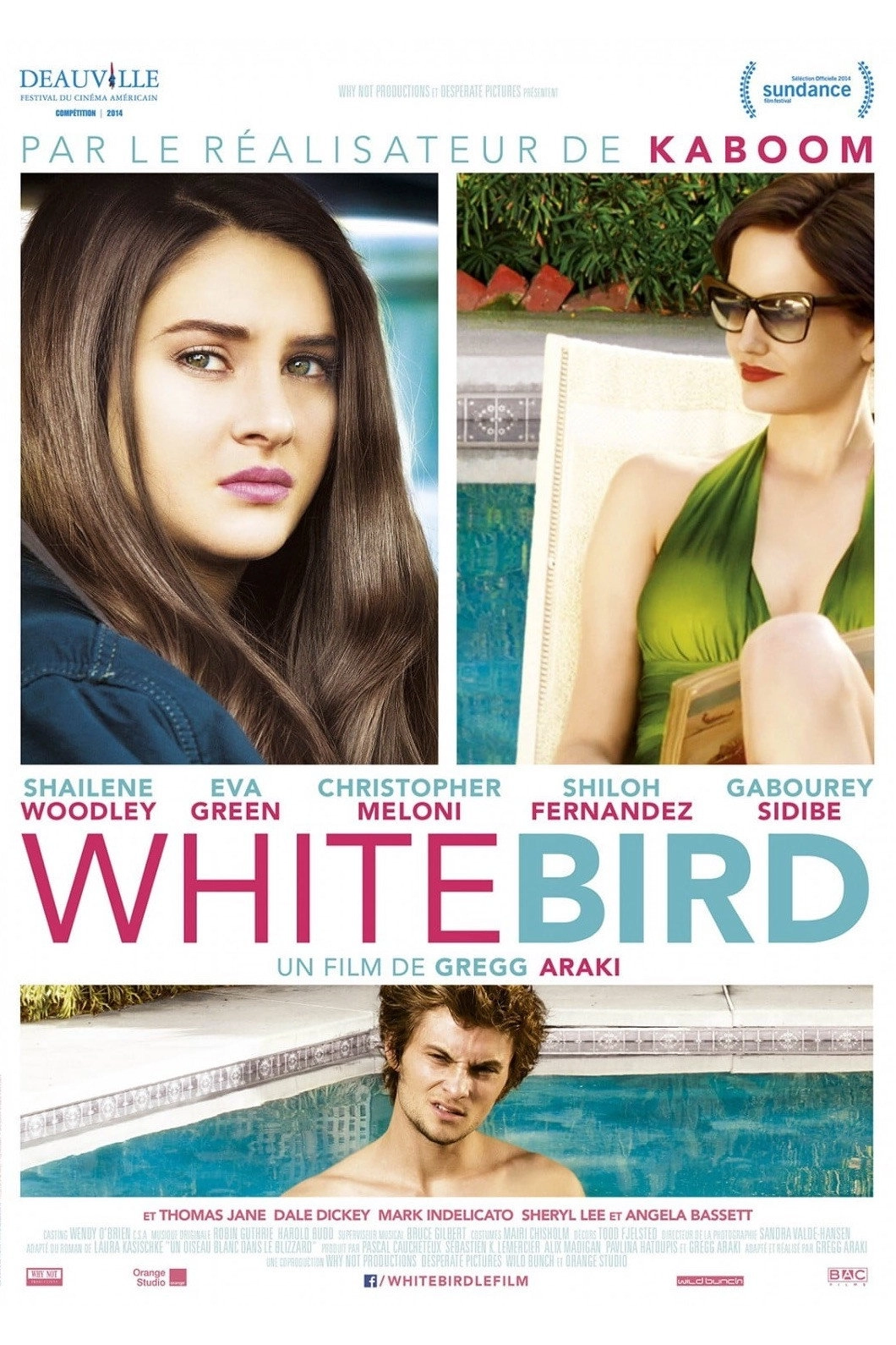 White Bird in a Blizzard