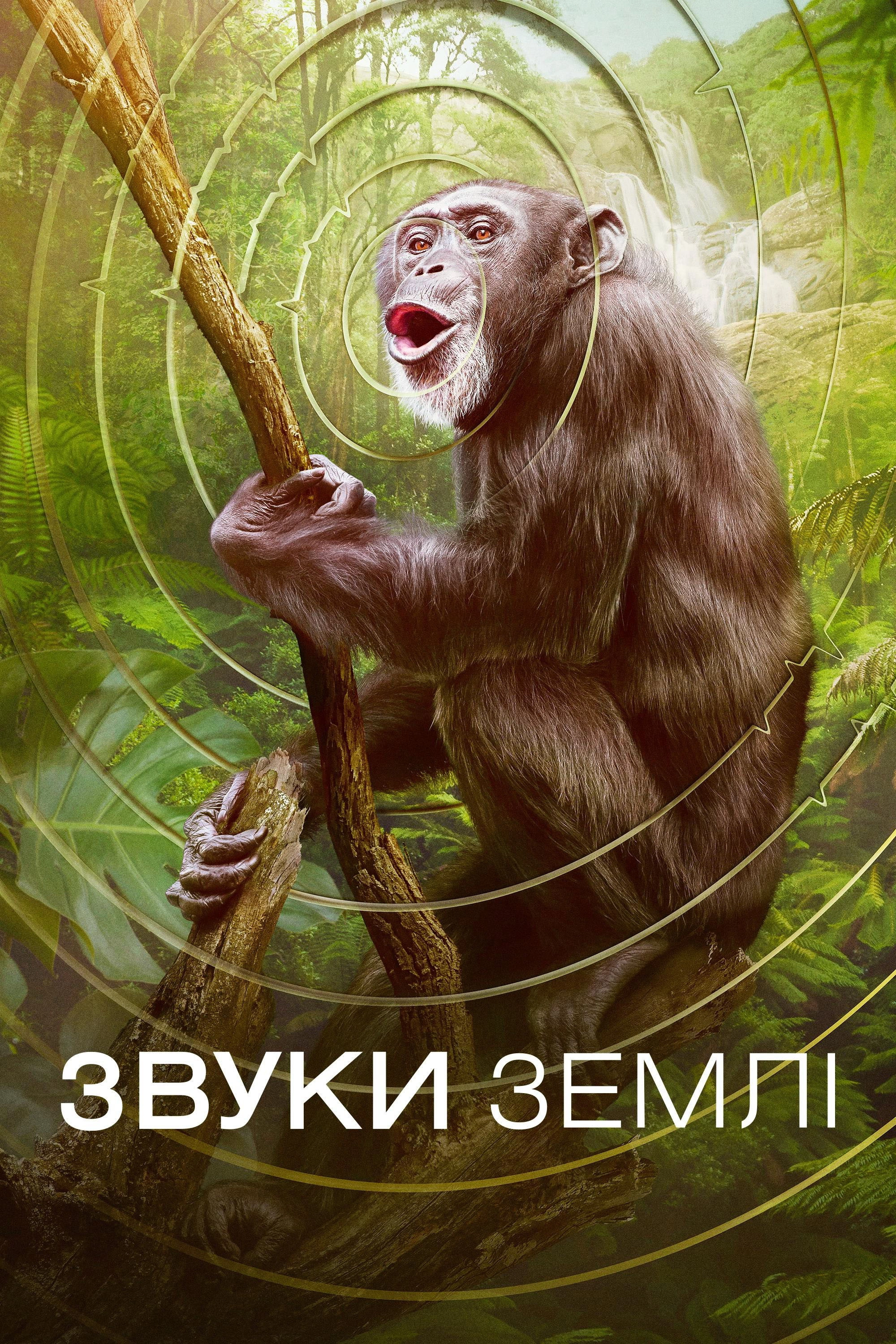 Earthsounds
