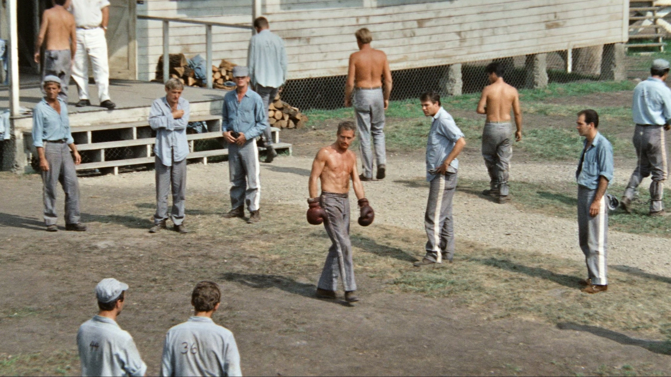 Cool Hand Luke