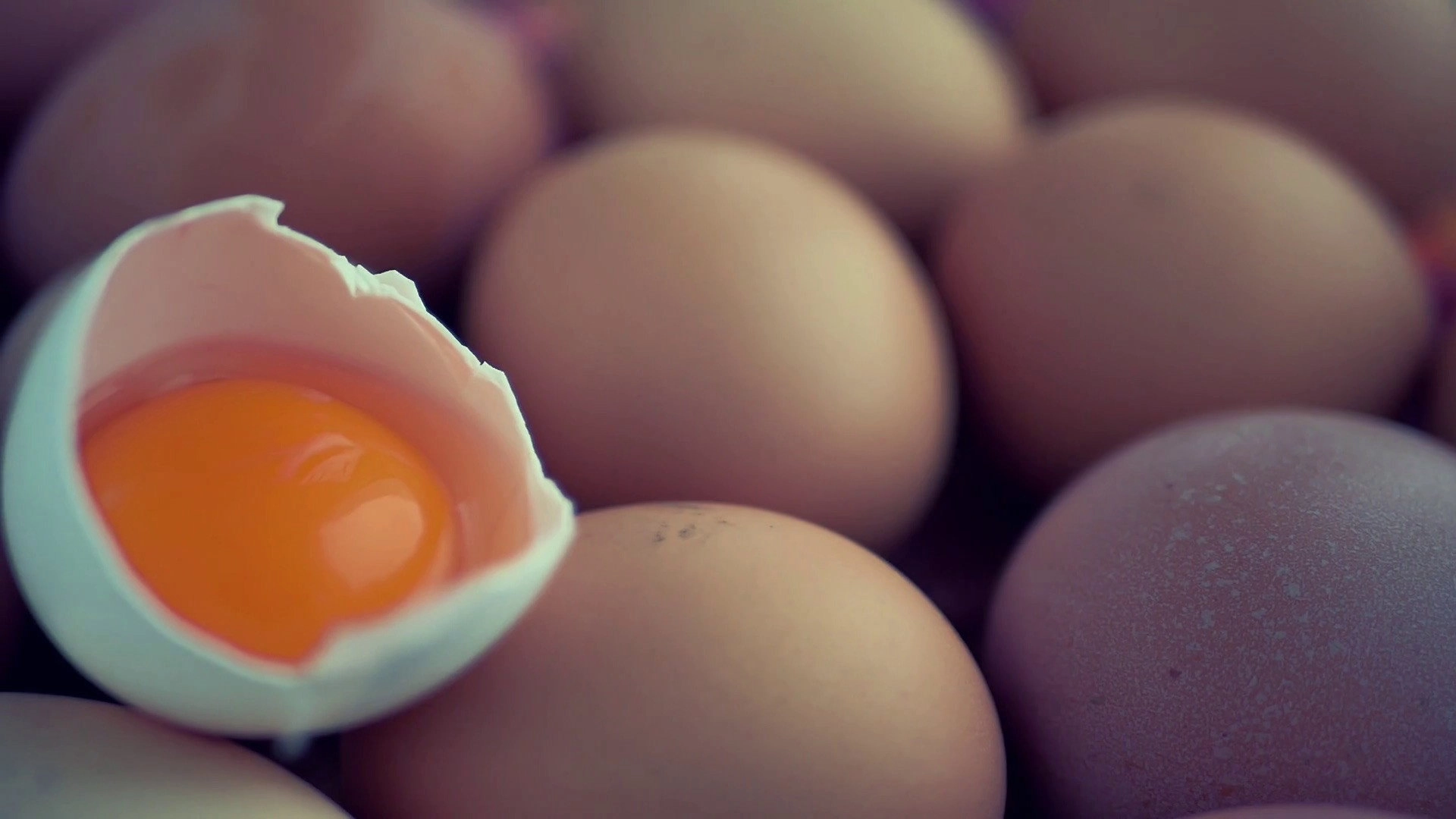 Egg! Egg! A Hardboiled Story