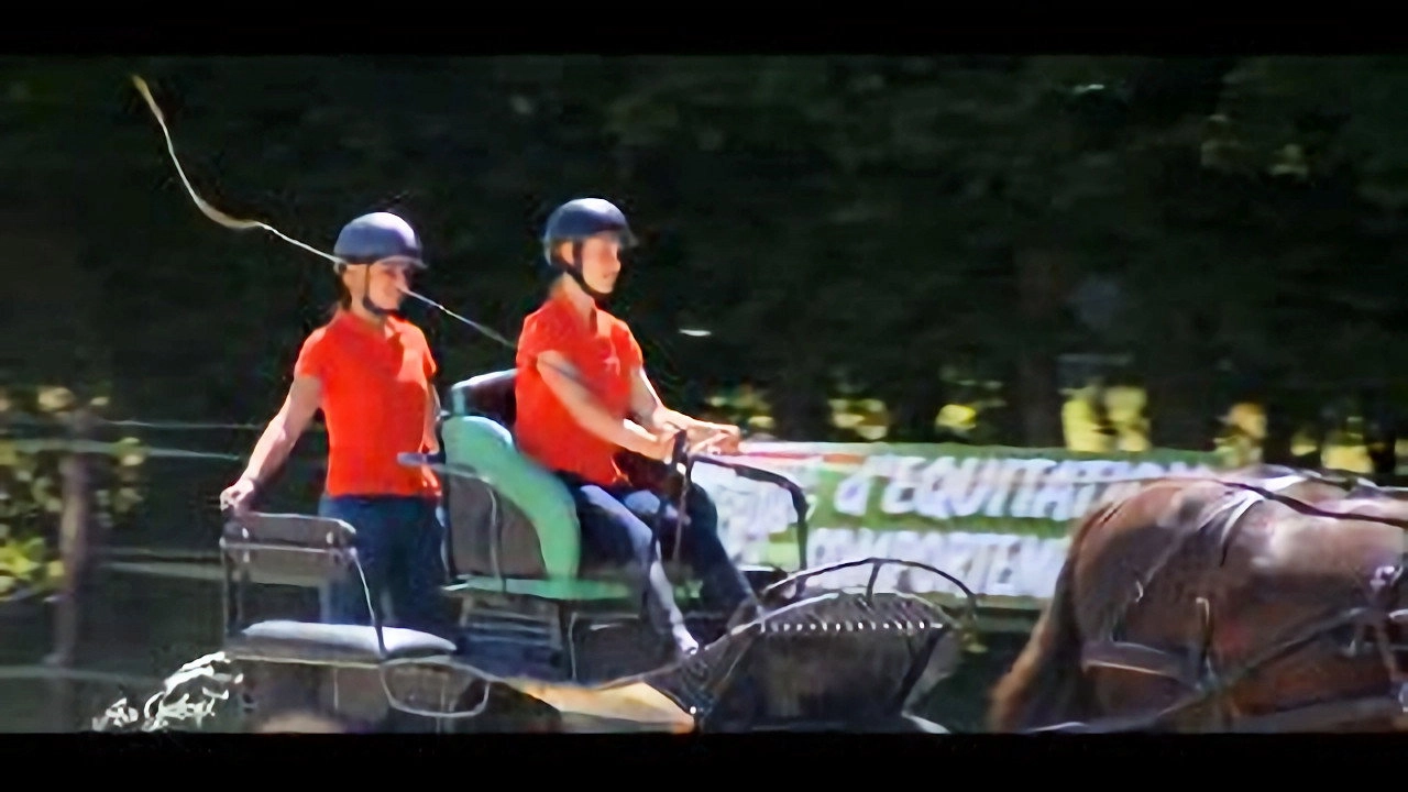 Au galop ! une saison à cheval