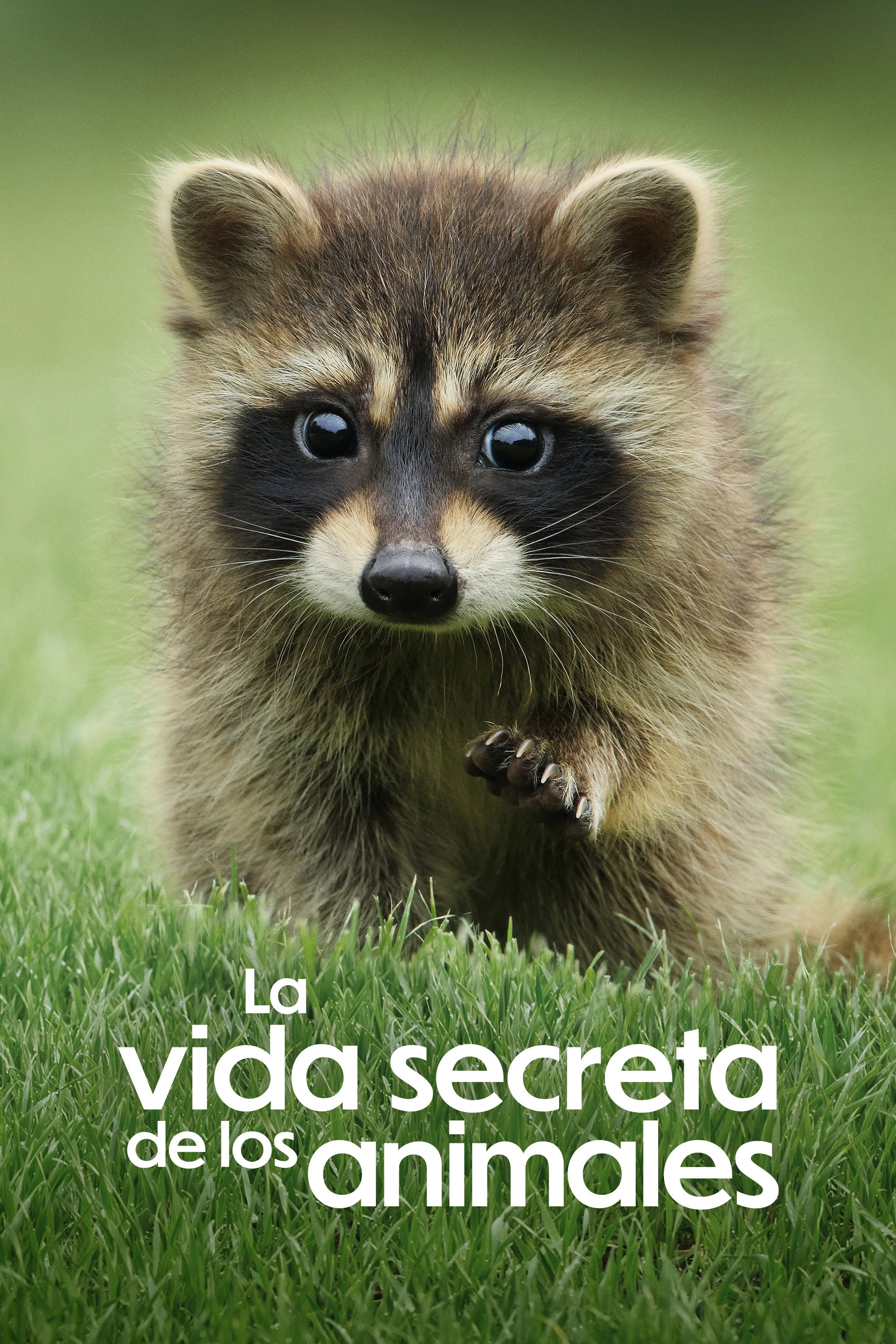 The Secret Lives of Animals