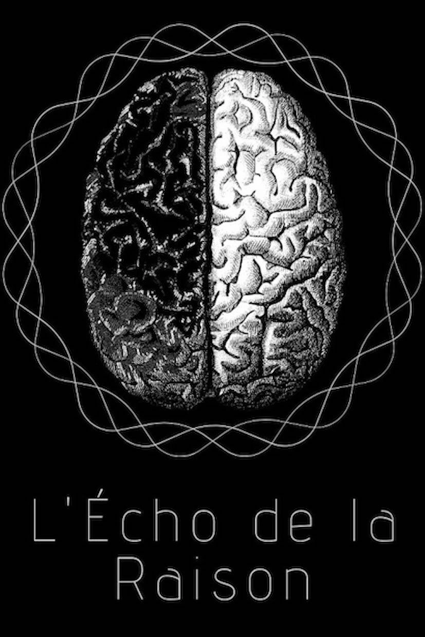 The Echo of Reason