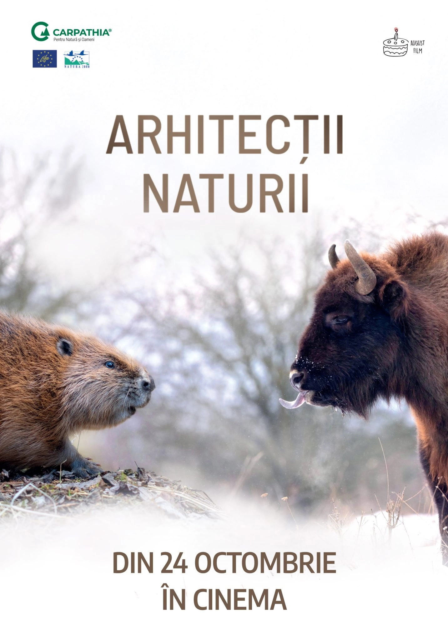 Nature's Architects