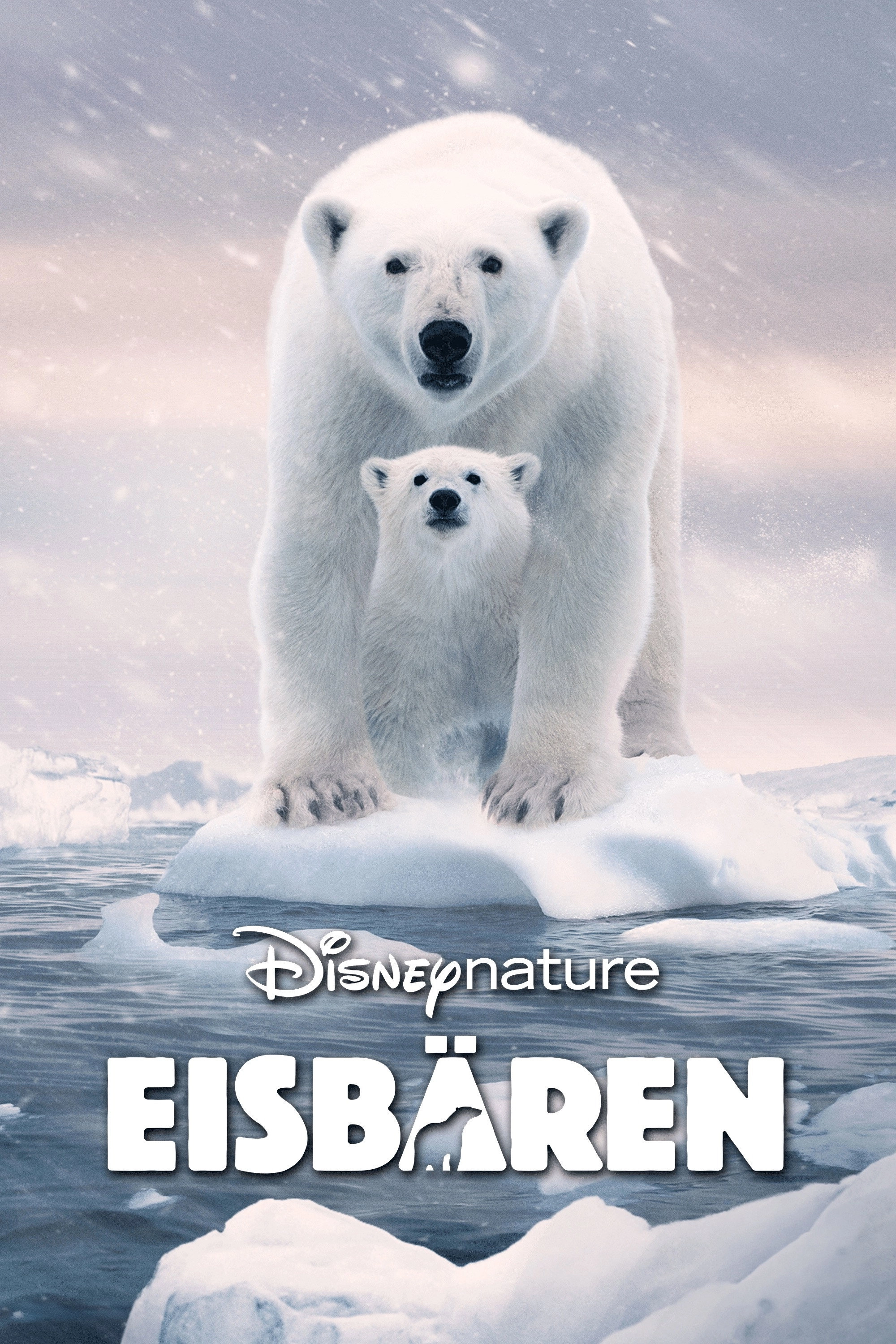 Polar Bear