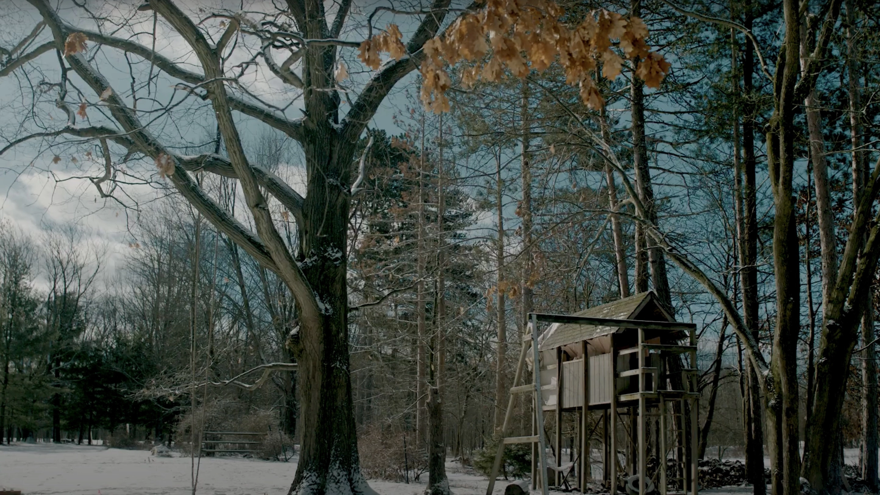 Treehouse