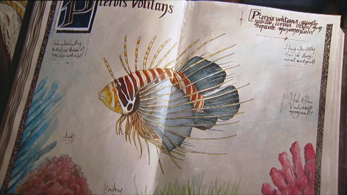 Piet Piraat wonderwaterwereld