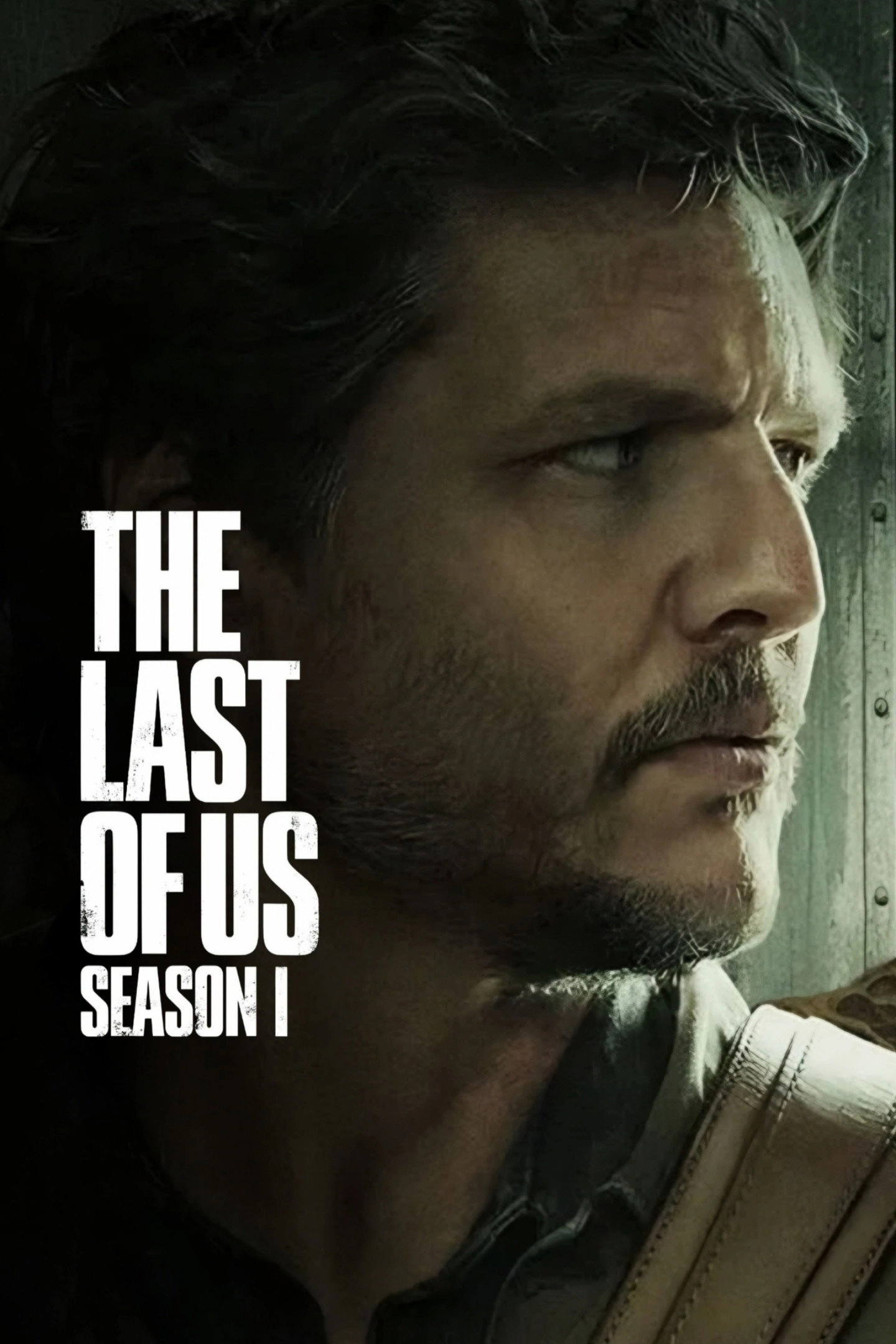 The Last of Us
