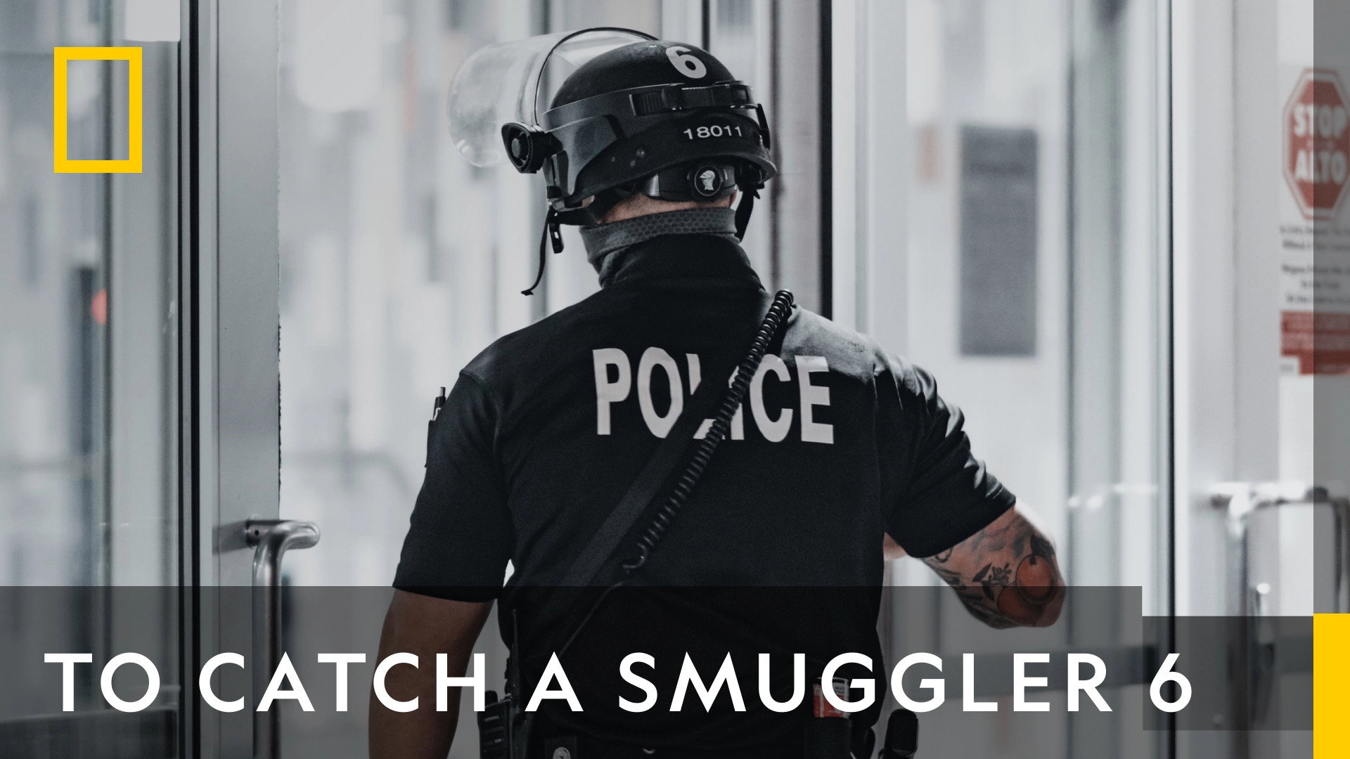 To Catch a Smuggler