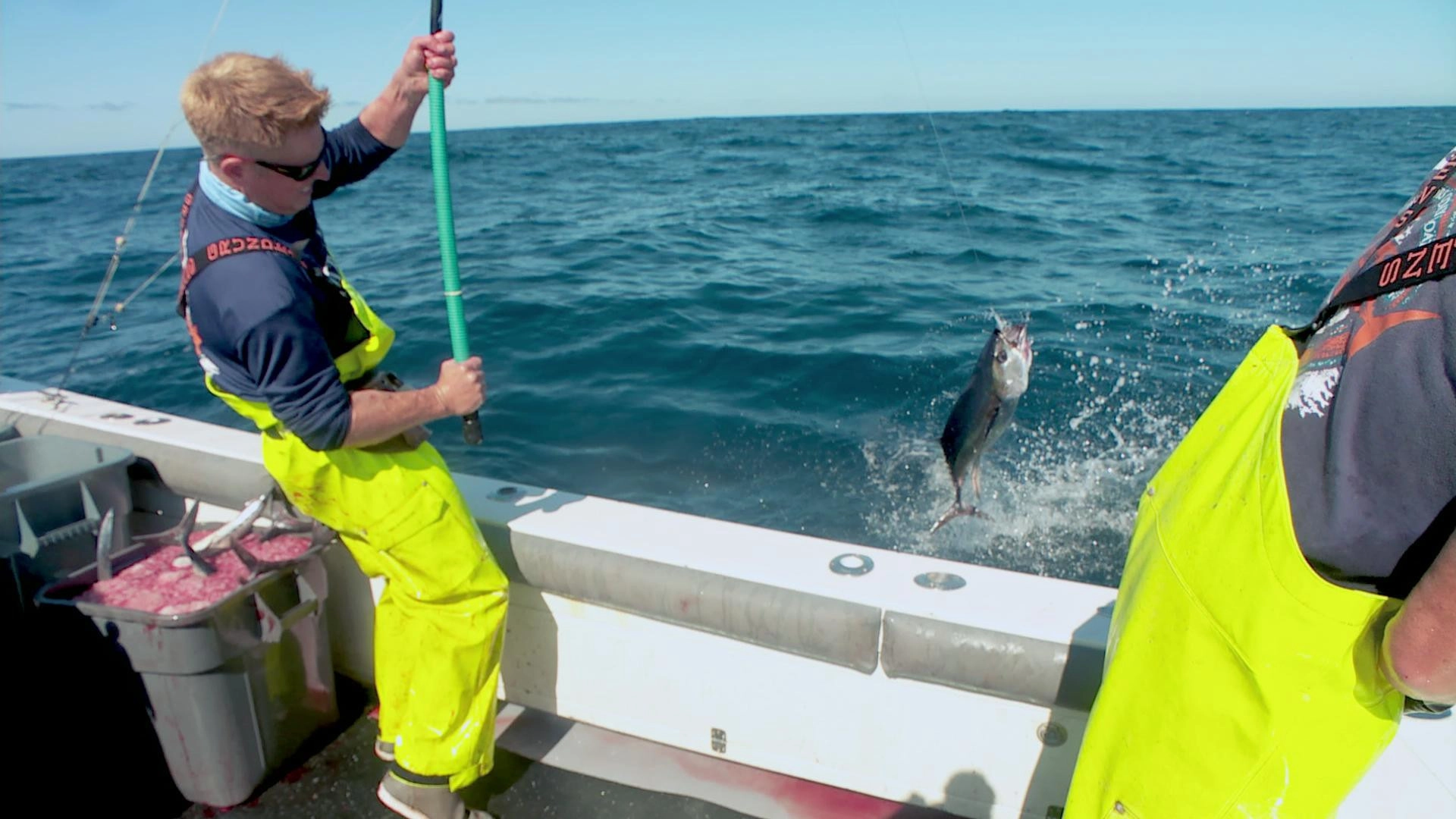 Battlefish